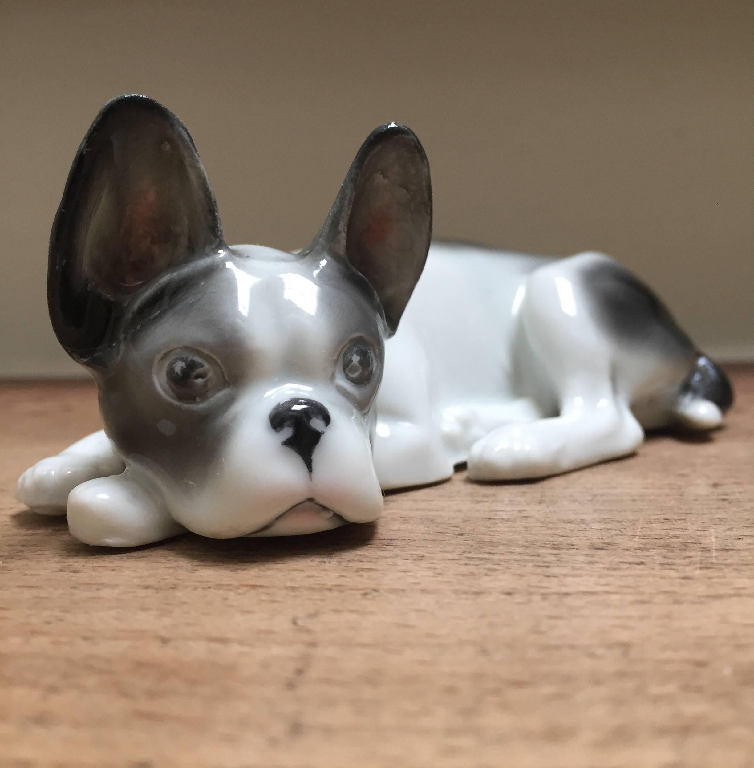 Porcelain lying French Bulldog Puppy, Pfeffer Gotha Germany, 1934-1942 4