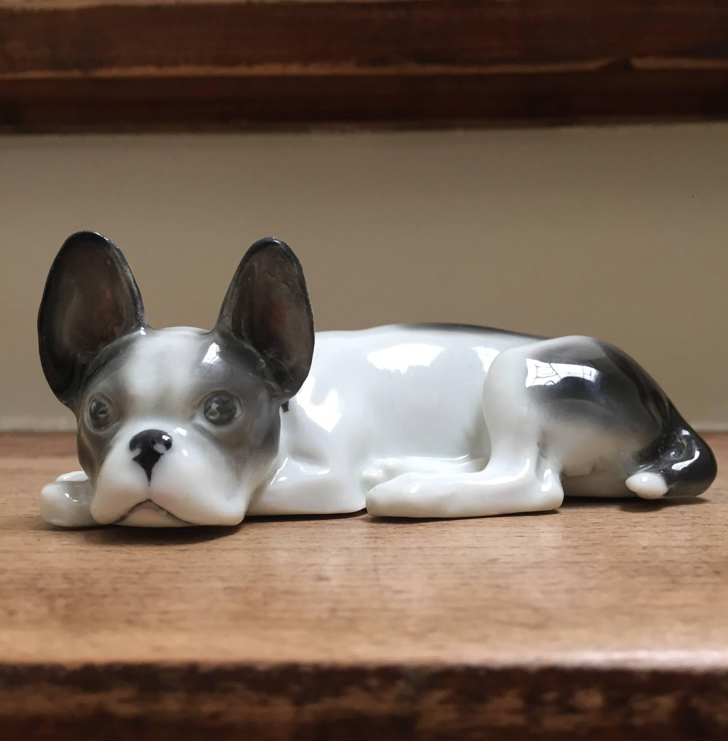 Porcelain lying French Bulldog Puppy, Pfeffer Gotha Germany, 1934-1942 7