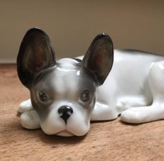 Porcelain lying French Bulldog Puppy, Pfeffer Gotha Germany, 1934-1942