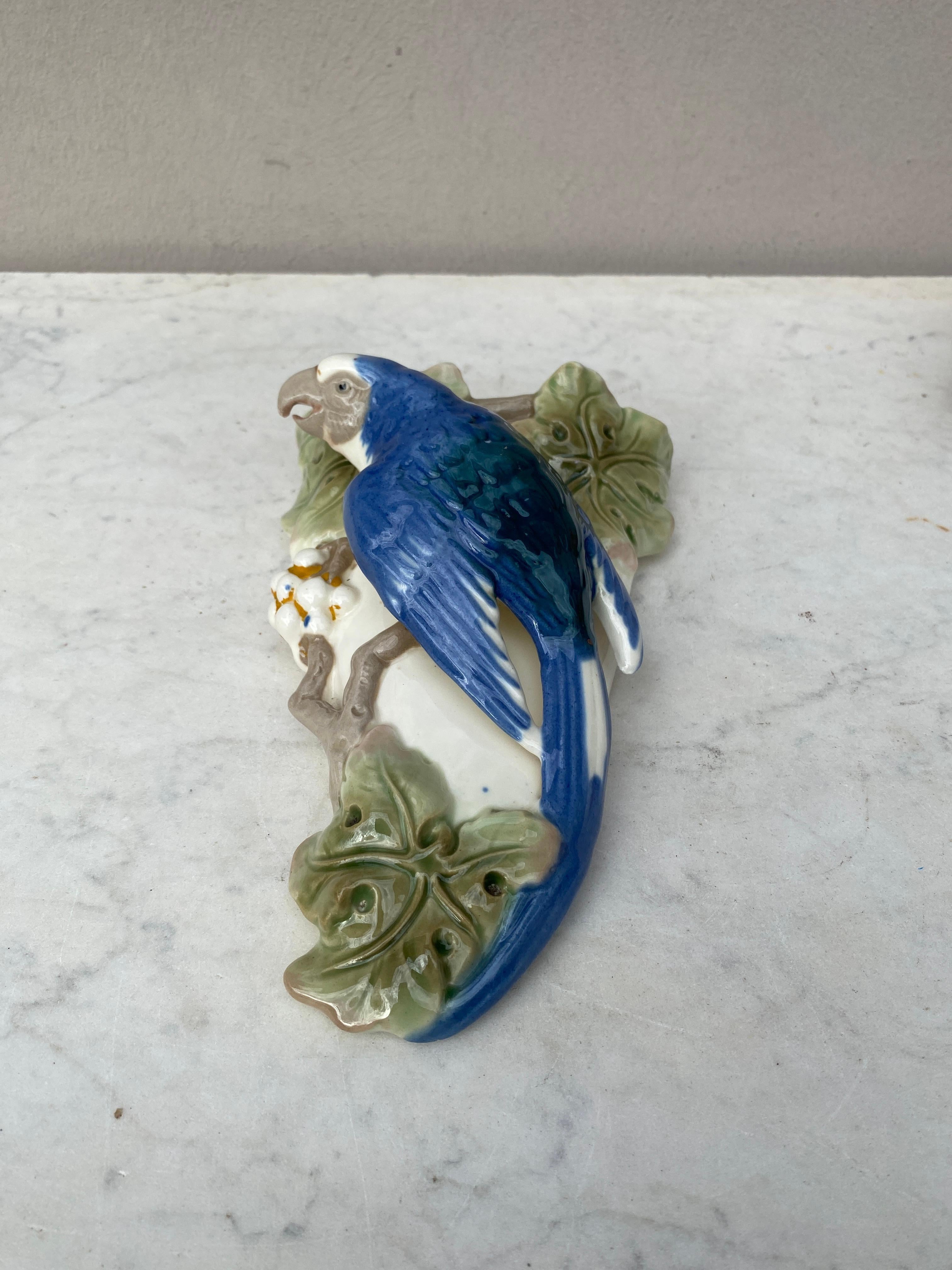 Porcelain Majolica Parrot Wall Pocket Circa 1920.