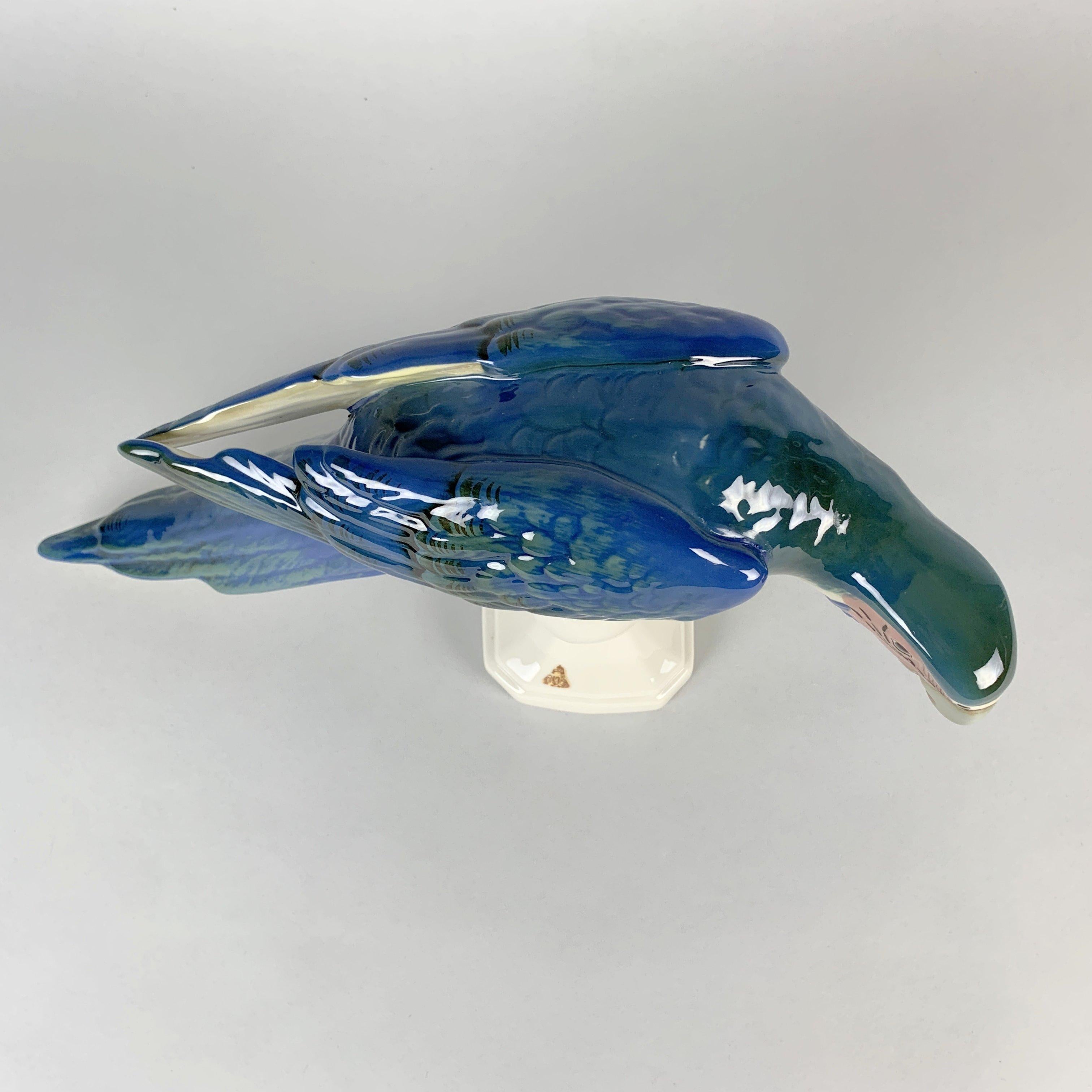 royal blue macaw