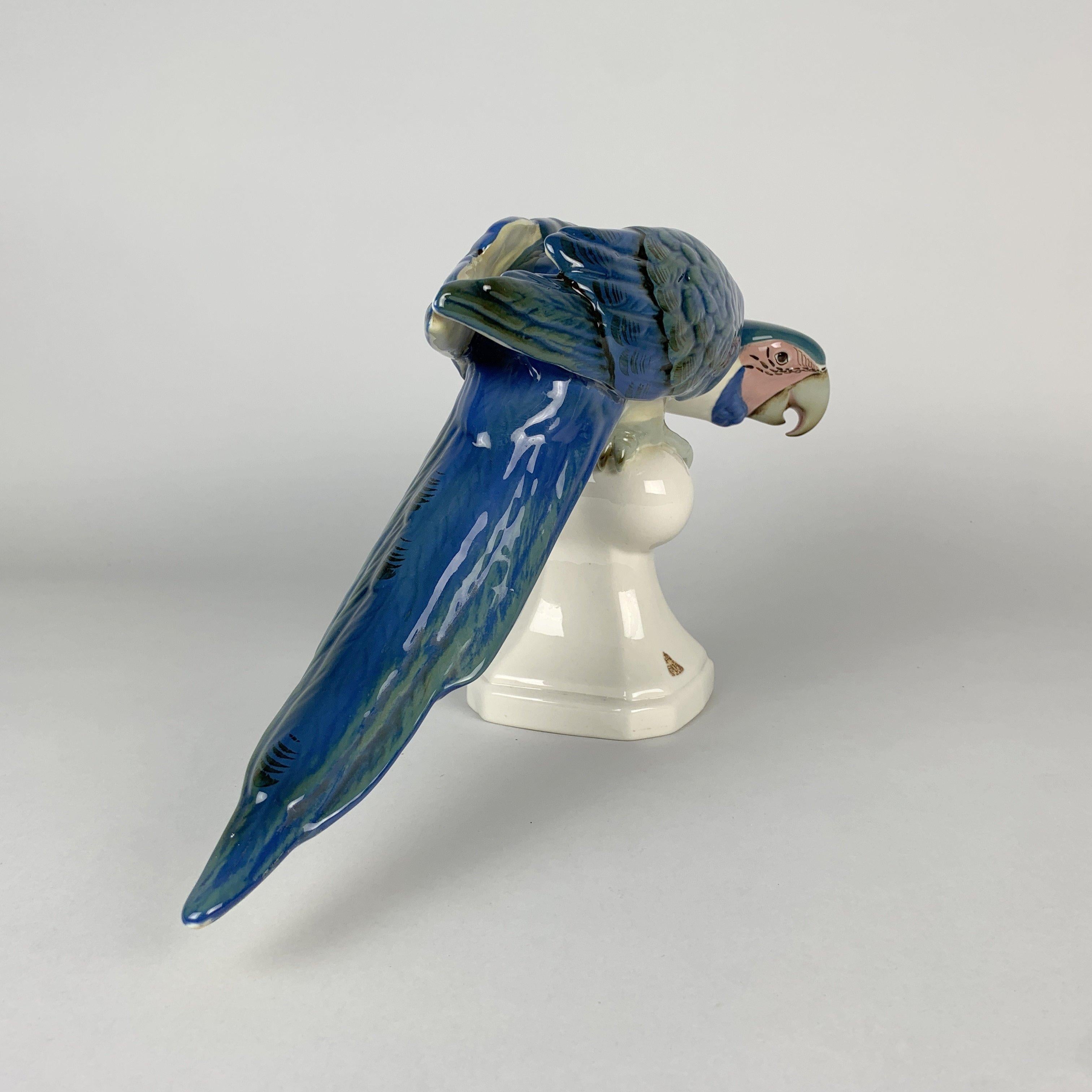 Porcelain Midcentury Royal Dux Macaw Parrot, Czechoslovakia, 1960's 1