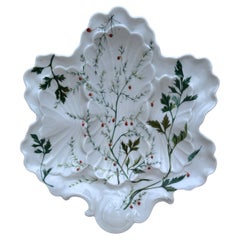 Porcelain Oyster Botanical Plate Limoges, circa 1900