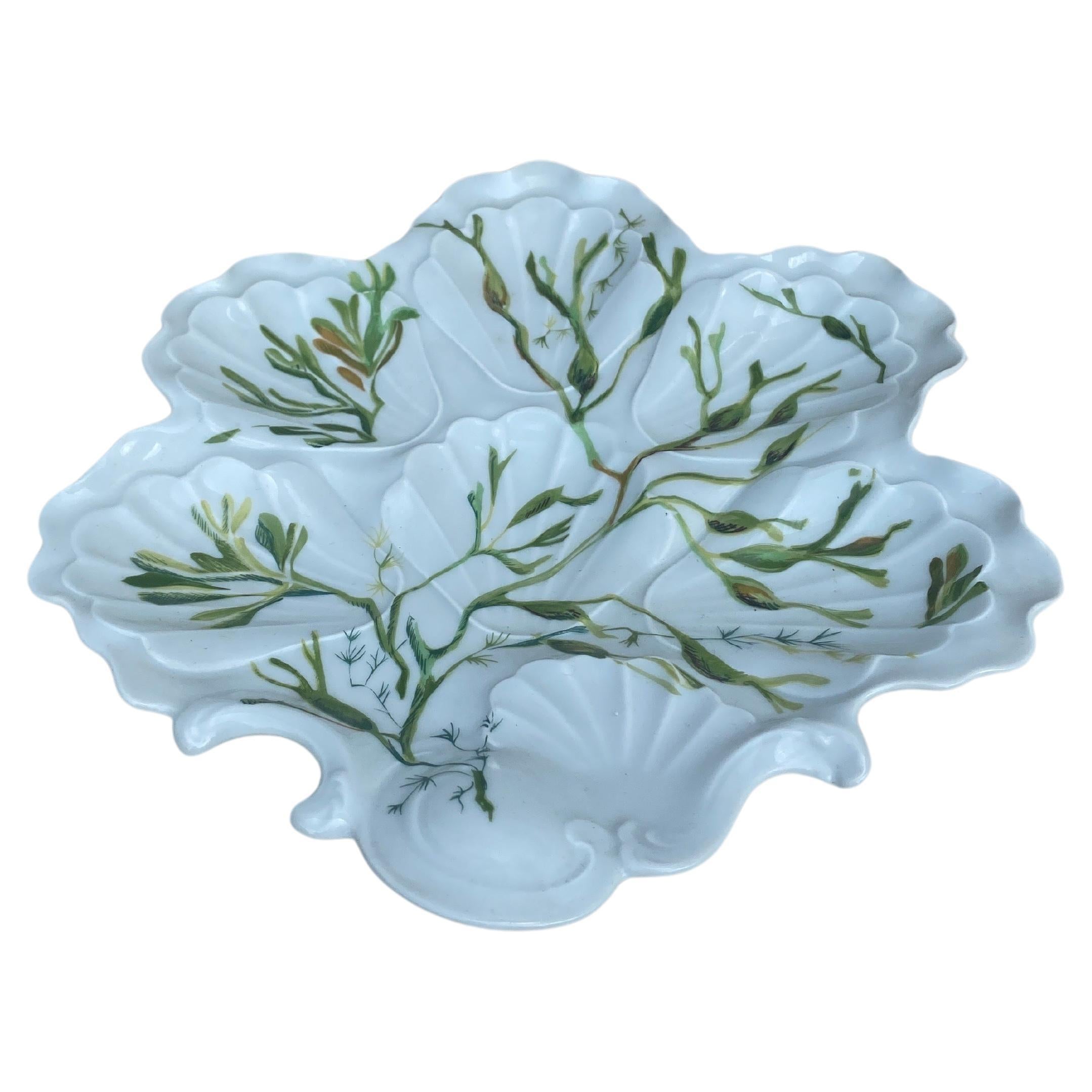 Aesthetic Movement Porcelain Oyster Plate with Seaweeds Limoges, circa 1900 For Sale