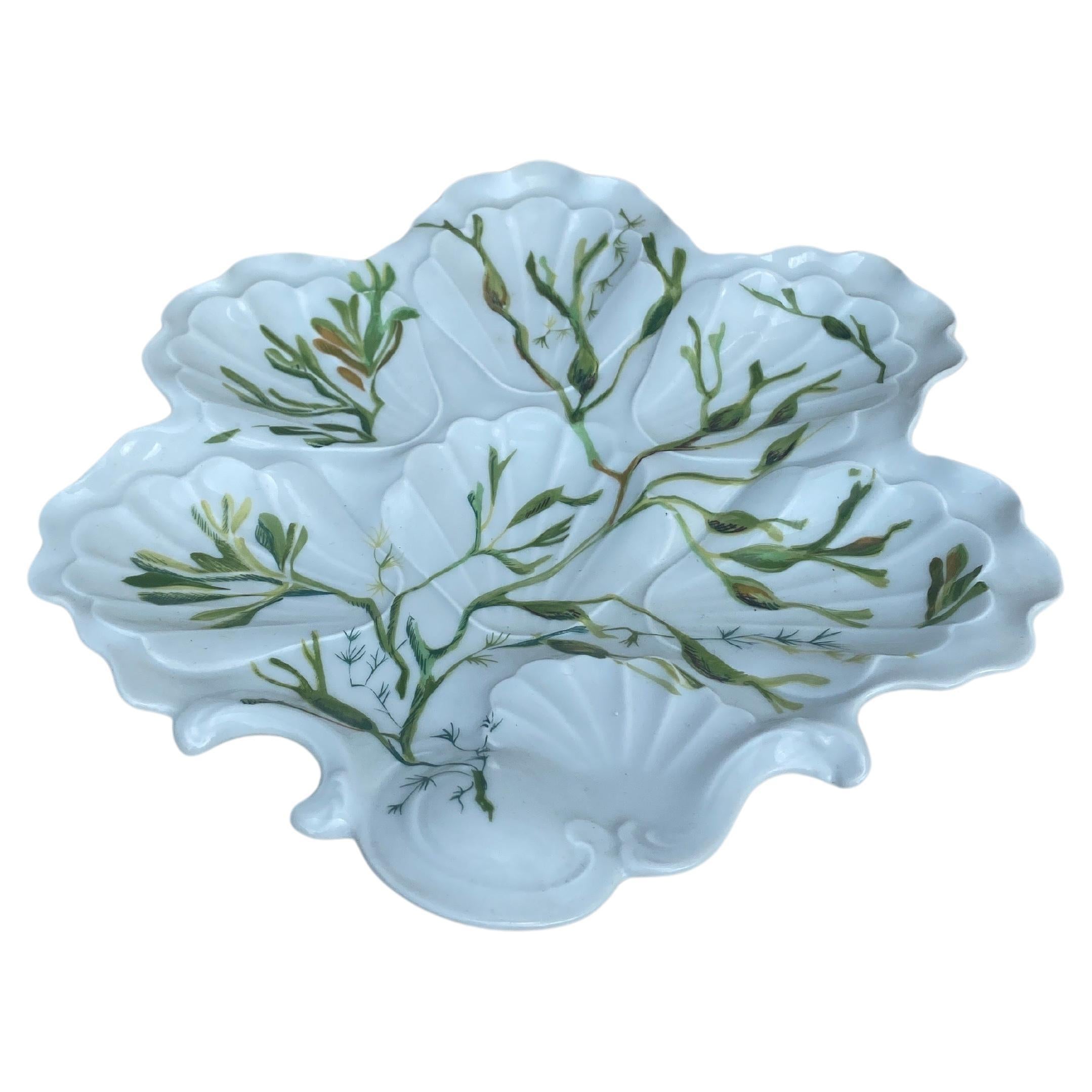 Aesthetic Movement Porcelain Oyster Plate with Seaweeds Limoges, circa 1900