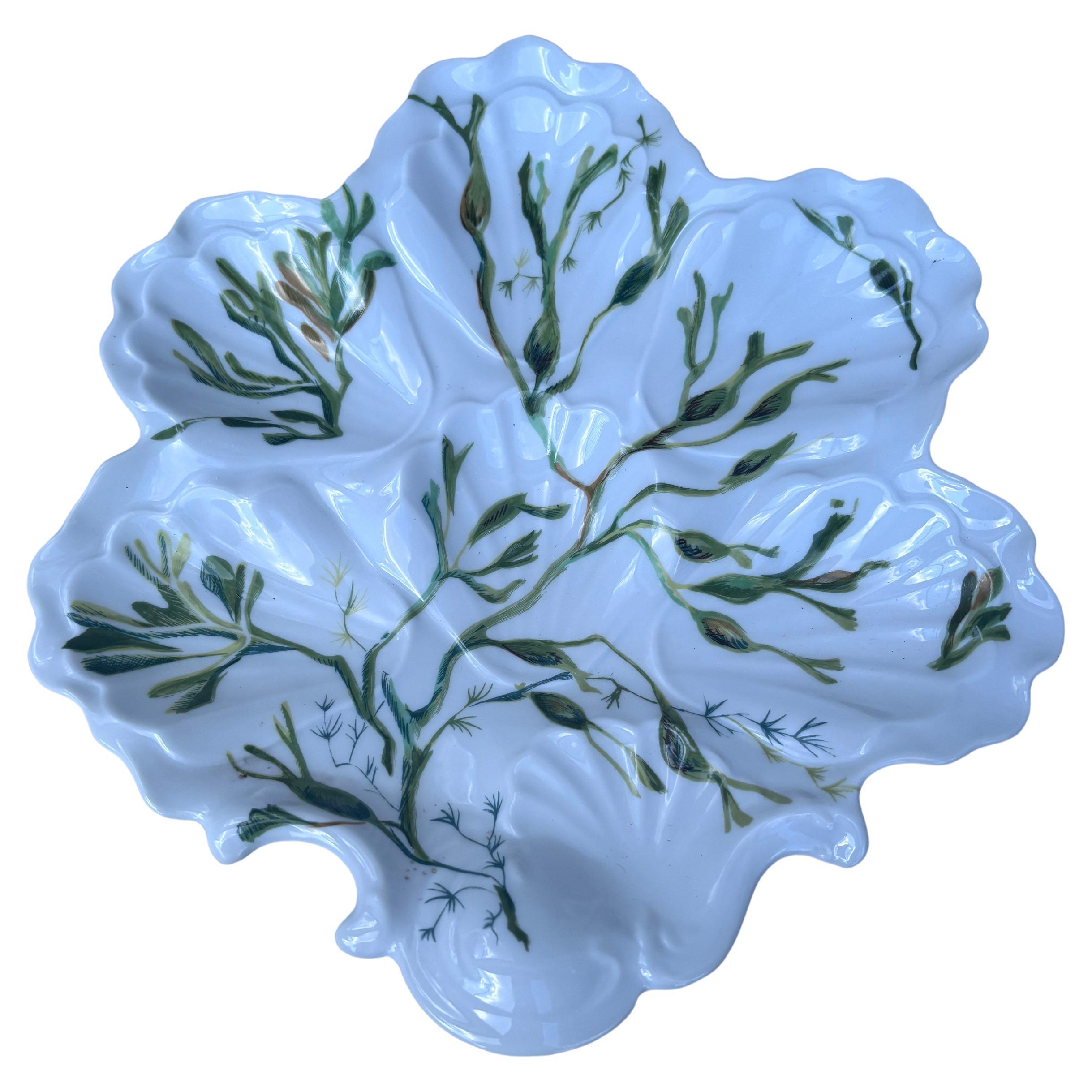 Piatto per ostriche in porcellana francese con alghe Limoges, circa 1900.
12 piatti disponibili 