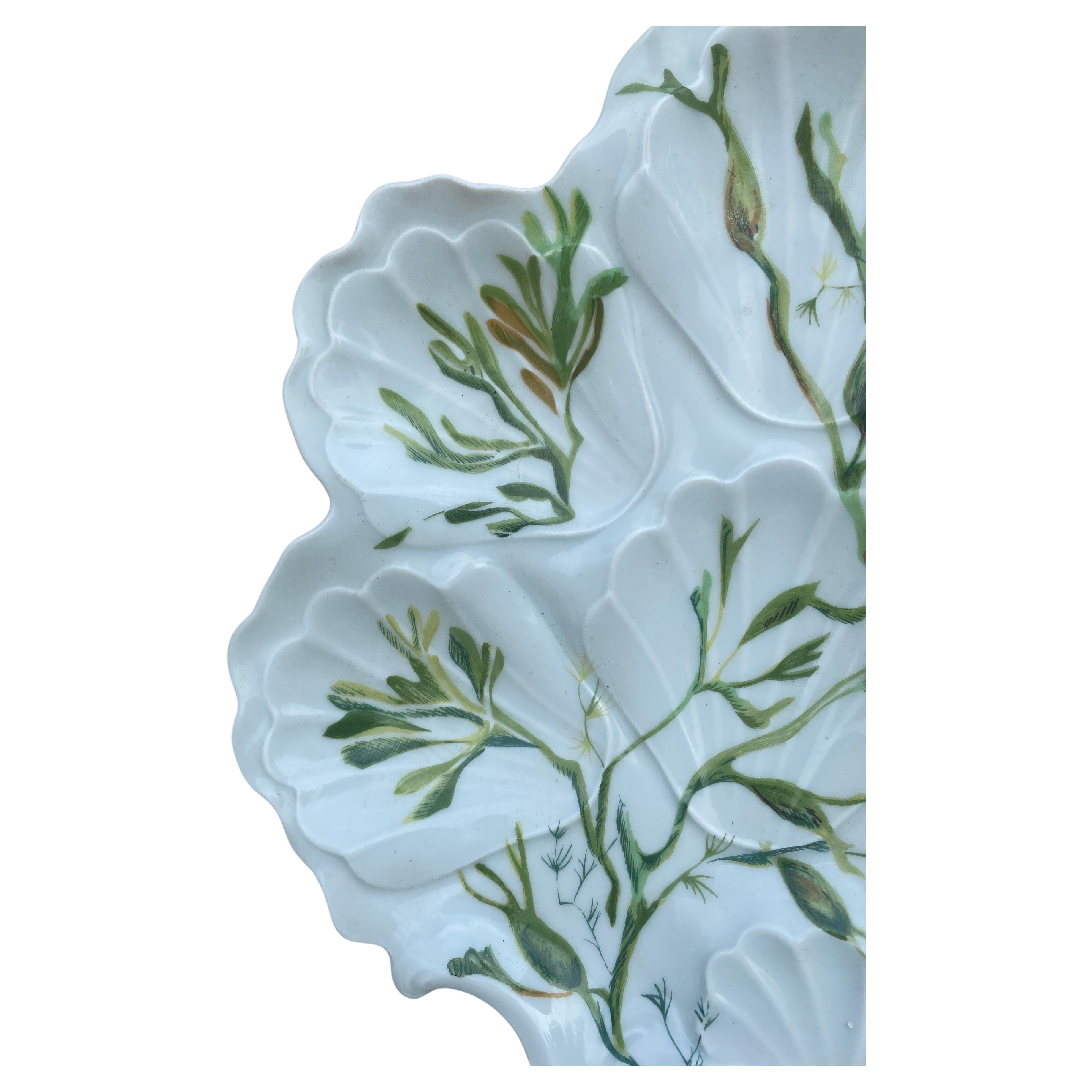 French Porcelain Oyster Plate with Seaweeds Limoges, circa 1900 For Sale