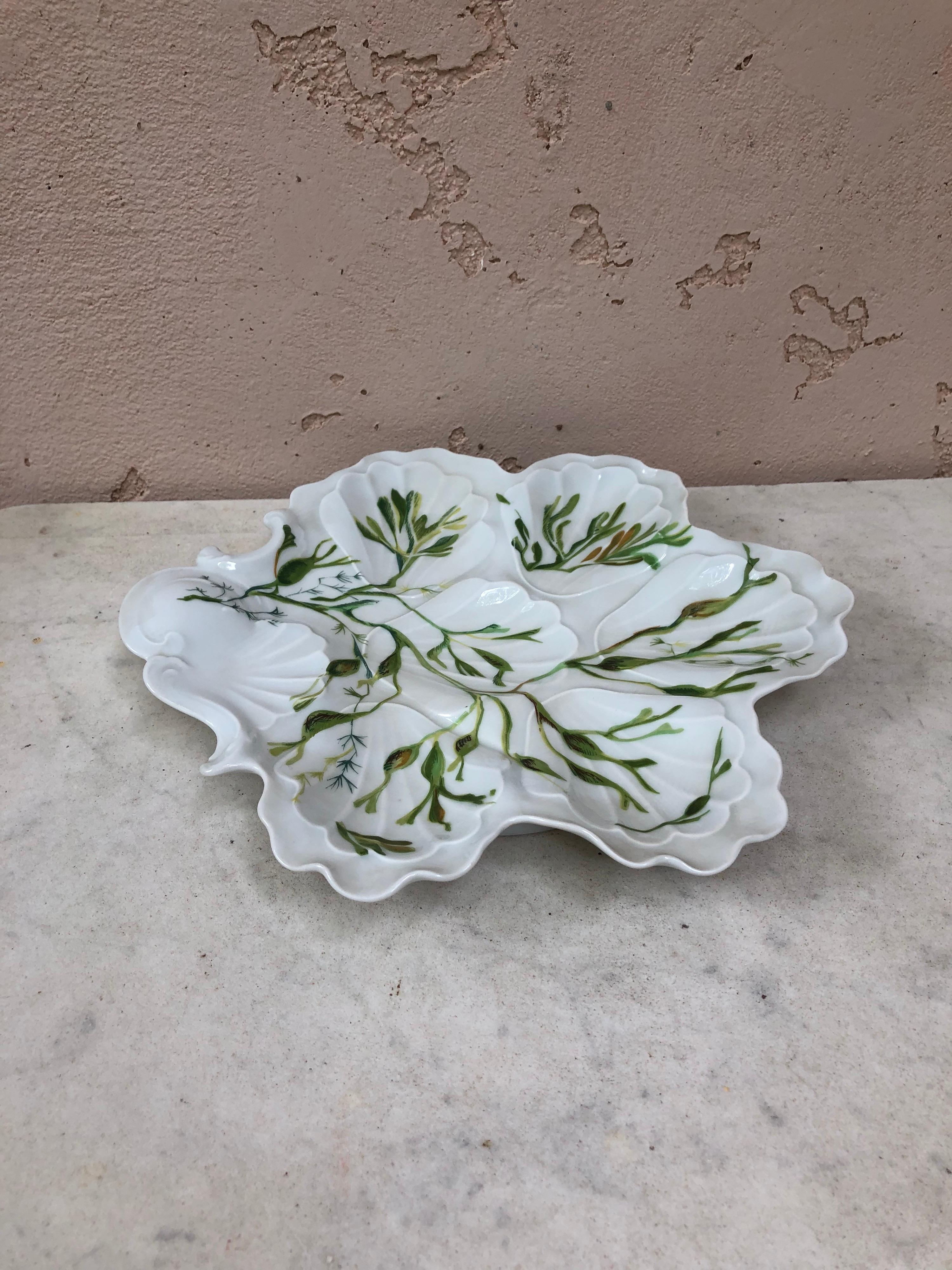 Porcelain Oyster Plate with Seaweeds Limoges, circa 1900 In Good Condition For Sale In Austin, TX