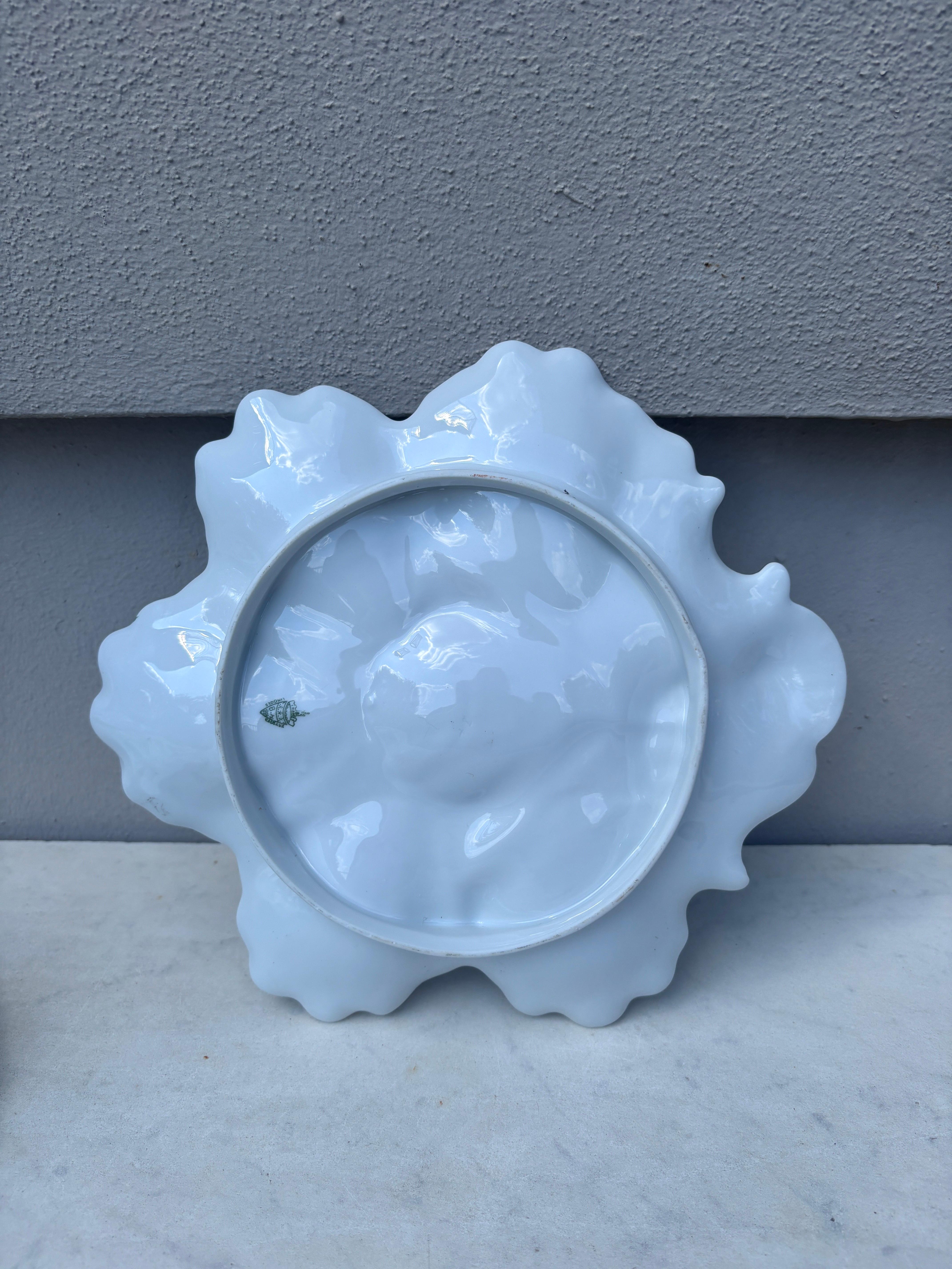 Piatto da ostriche in porcellana con alghe Limoges, 1900 circa In condizioni buone in vendita a Austin, TX