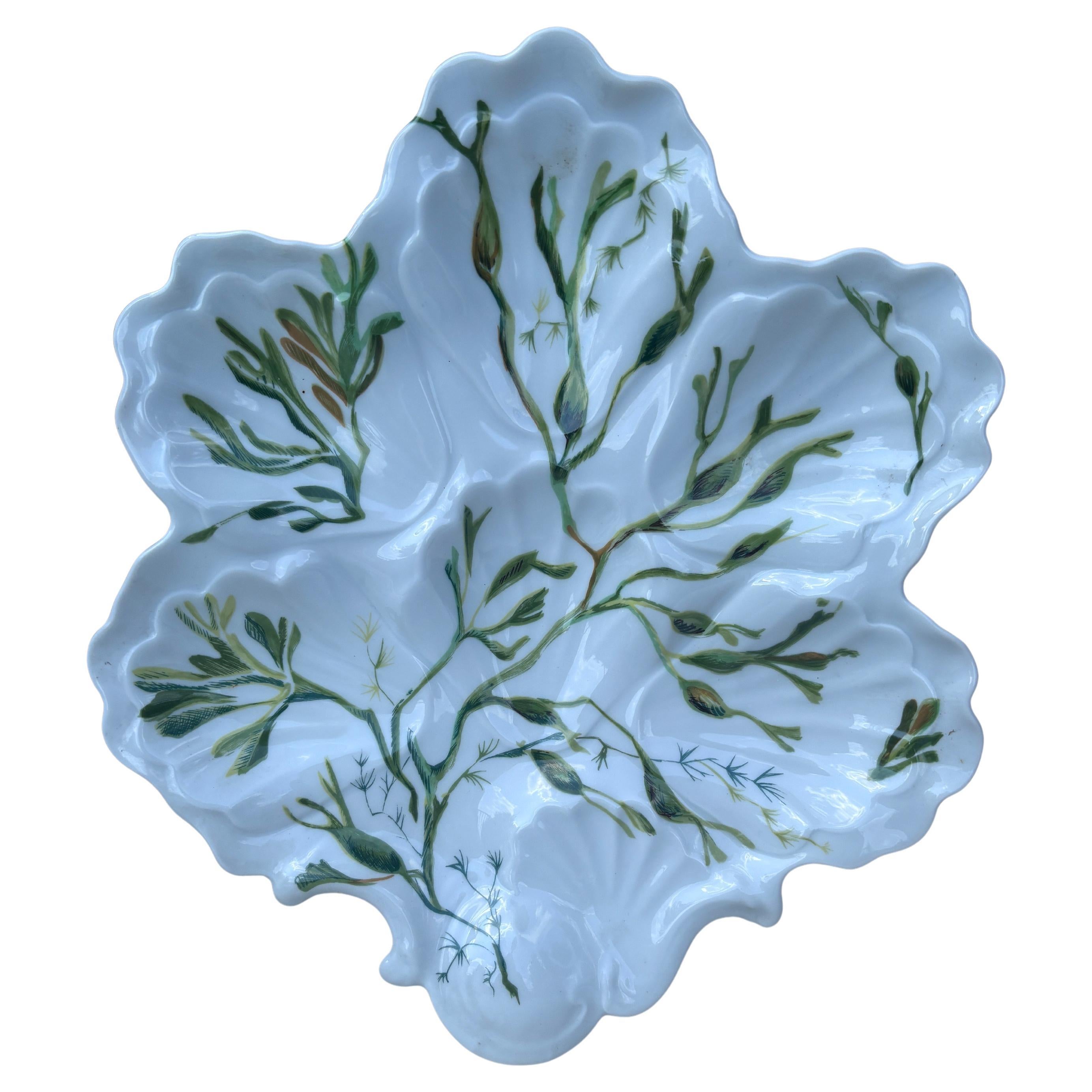 Piatto da ostriche in porcellana con alghe Limoges, 1900 circa in vendita