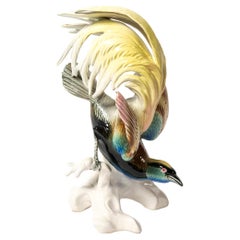 Antique Porcelain Parrot by Karl Ens, Germany, Late 19th Century