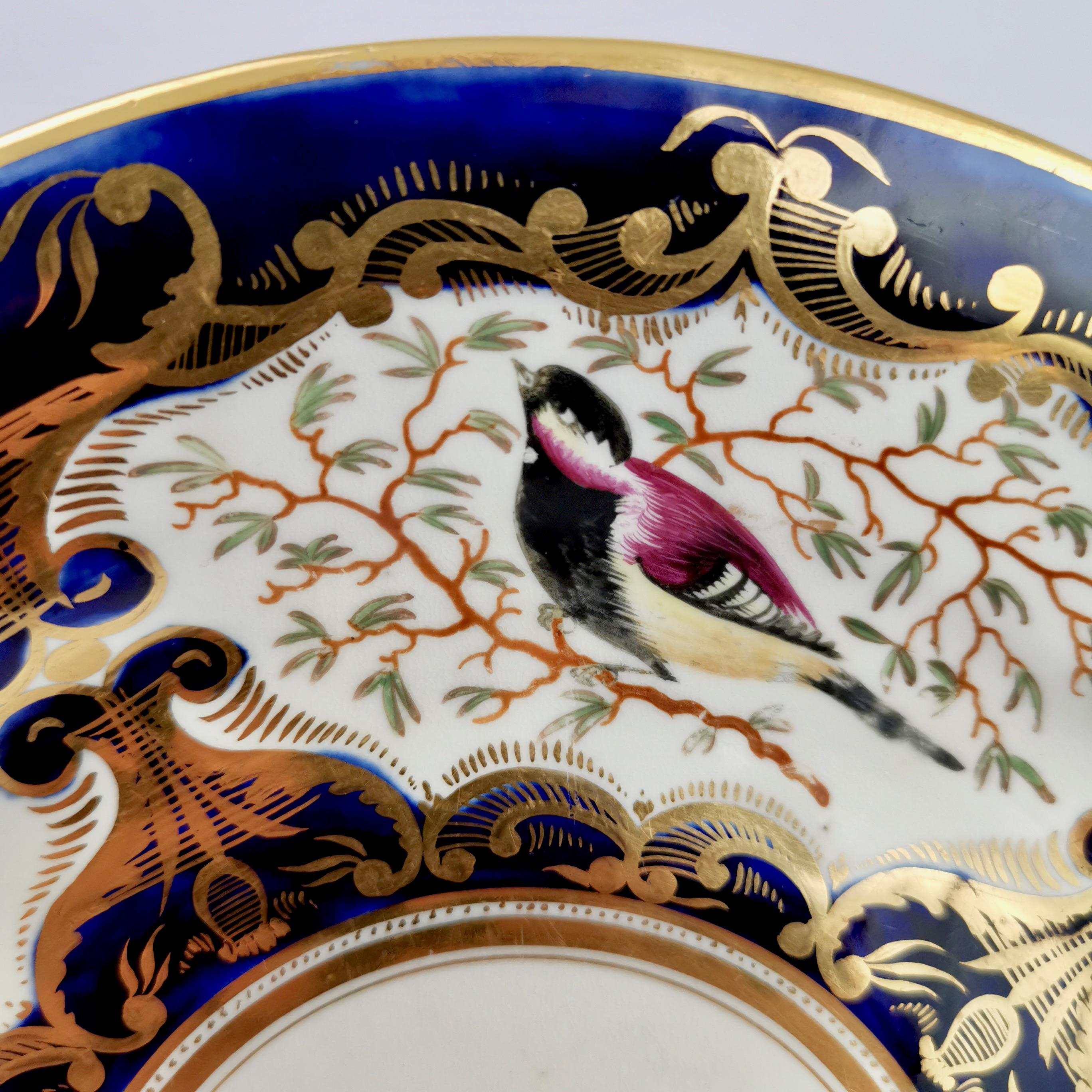 This is a beautiful plate made by Coalport around 1815. The plate bears the famous and very wonderful bird pattern with the number 759. Panels with stunning hand painted birds are set in a cobalt blue background with rich gilt decoration. 
 
I