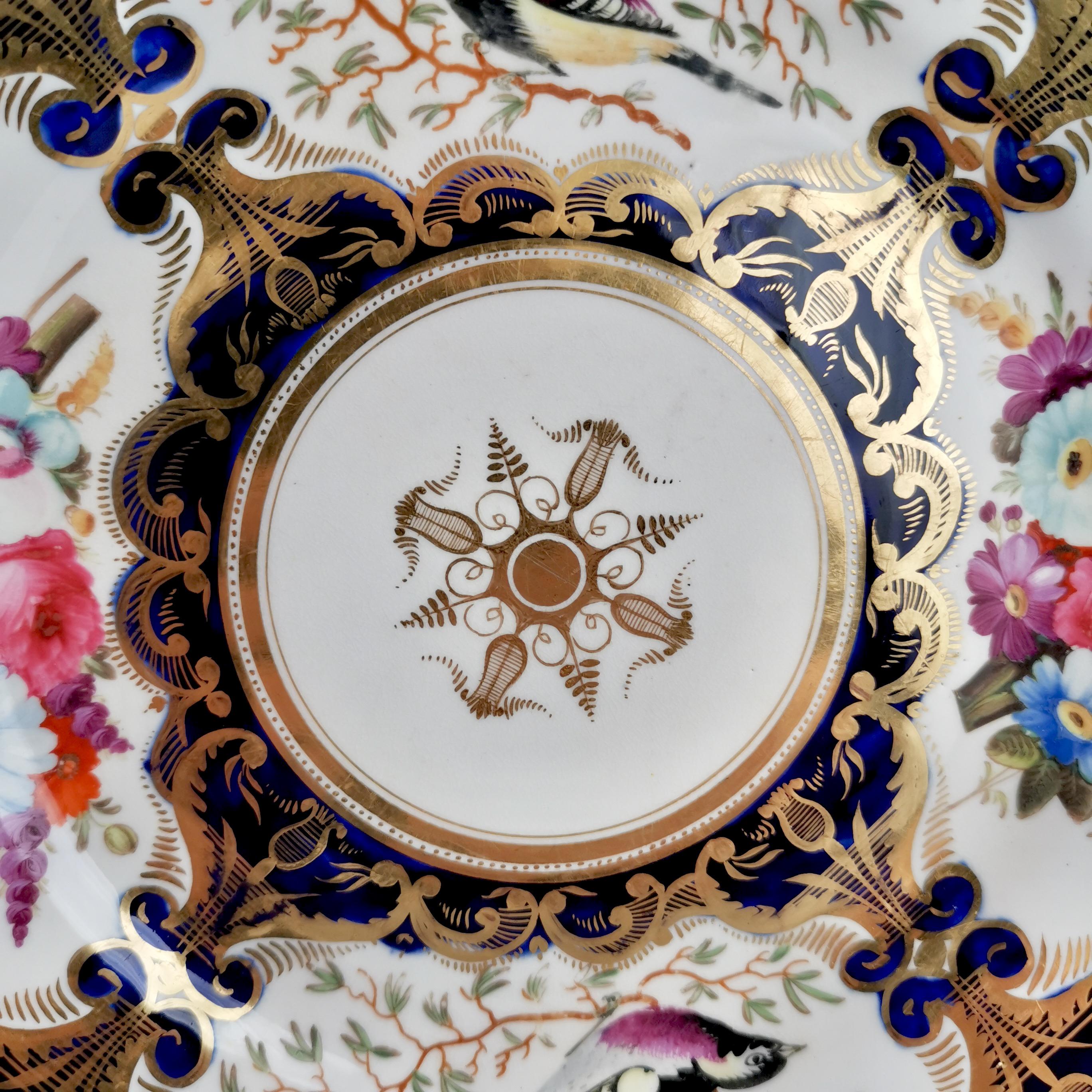 Hand-Painted Porcelain Plate Coalport, Birds, Flowers, Cobalt Blue Patt. 759, Regency ca 1815