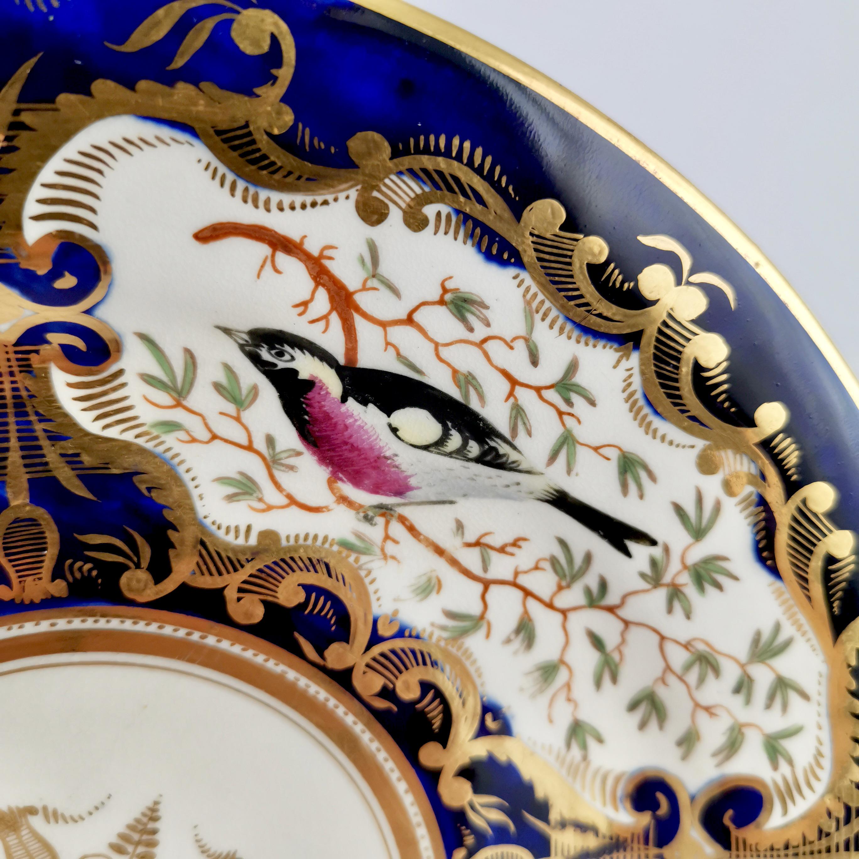 Porcelain Plate Coalport, Birds, Flowers, Cobalt Blue Patt. 759, Regency ca 1815 In Good Condition In London, GB