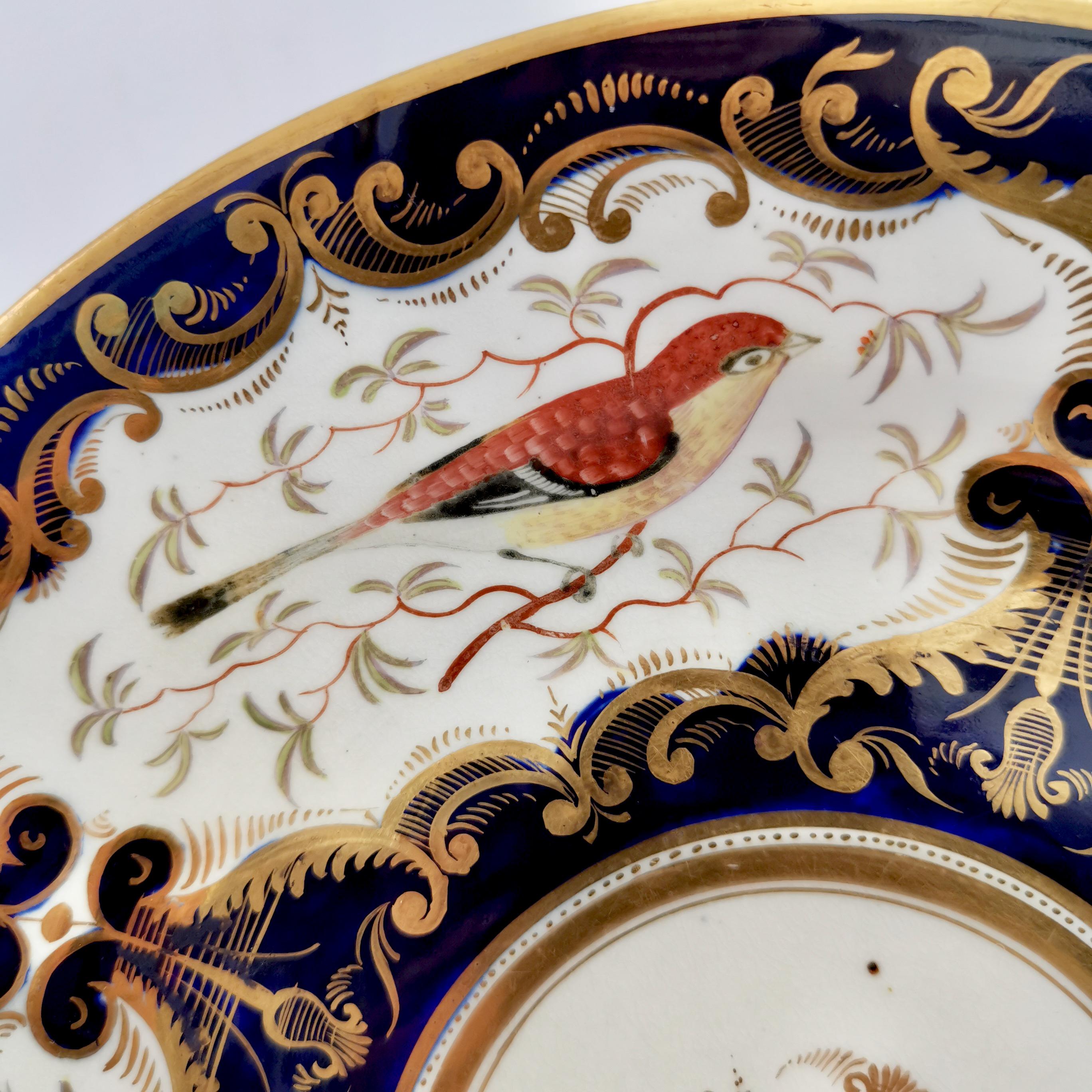 Hand-Painted Porcelain Plate Coalport, Cobalt Blue and Birds Patt. 759, Regency ca 1815