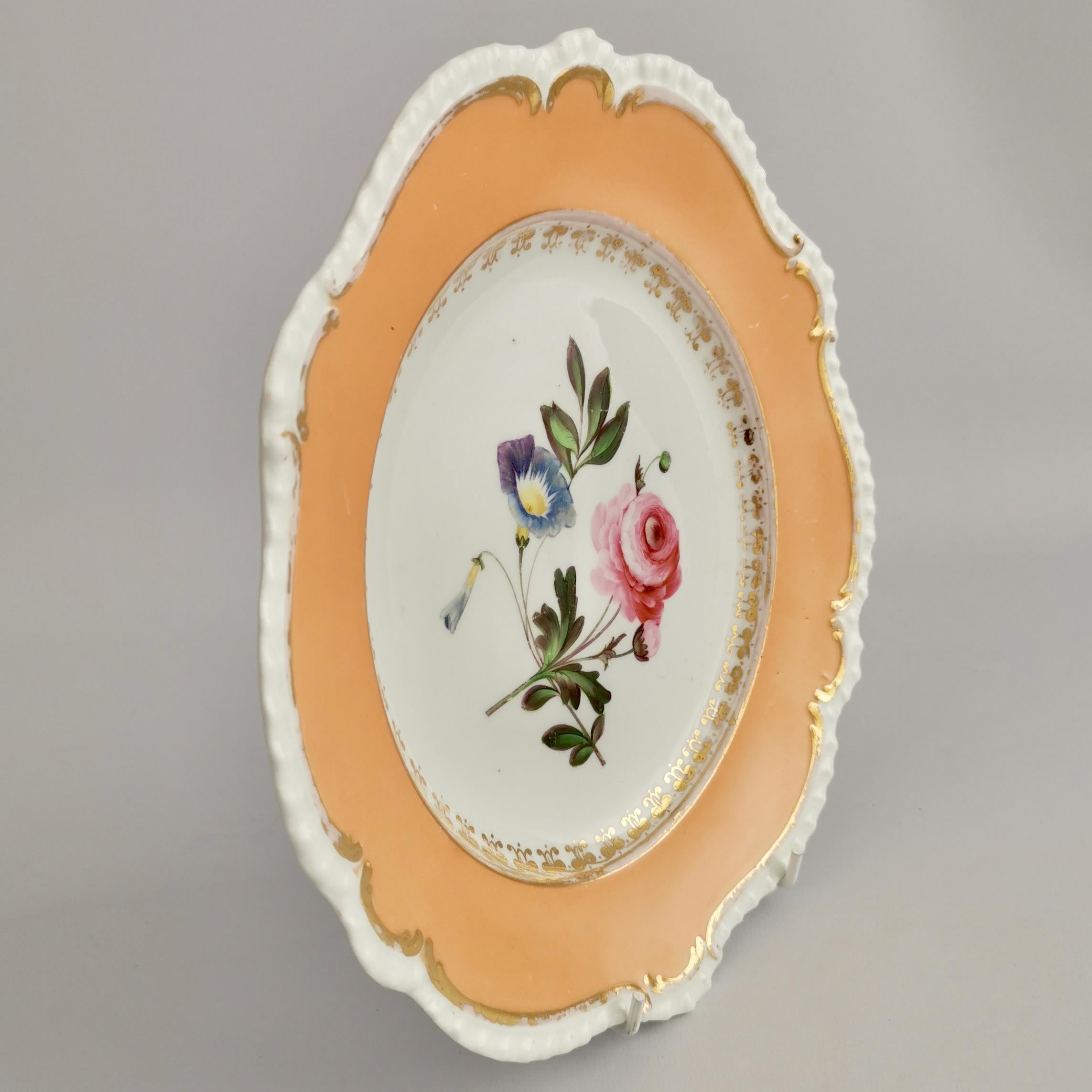 Porcelain Plate Coalport, Peach with Flowers, Regency 1820-1825 4