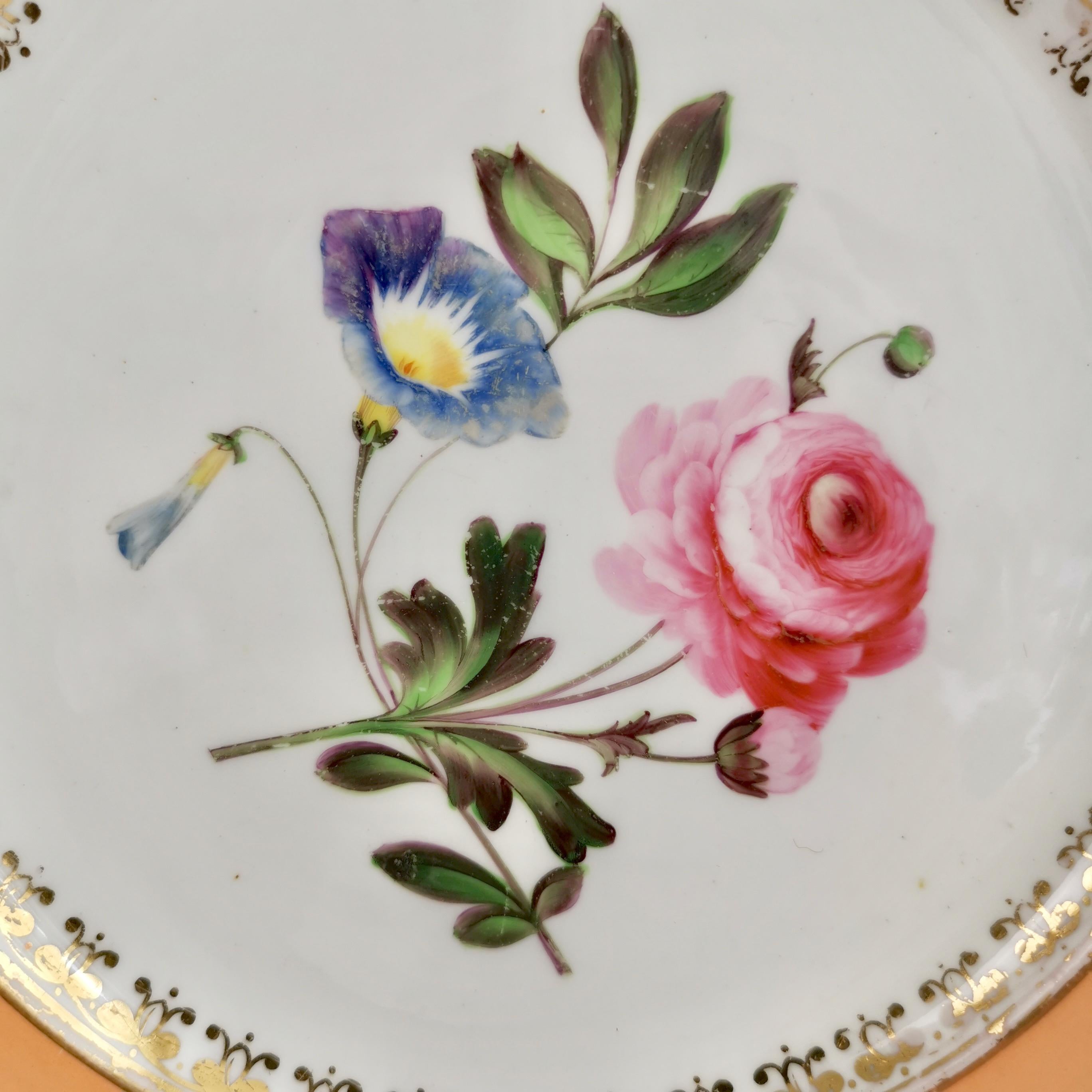 English Porcelain Plate Coalport, Peach with Flowers, Regency 1820-1825