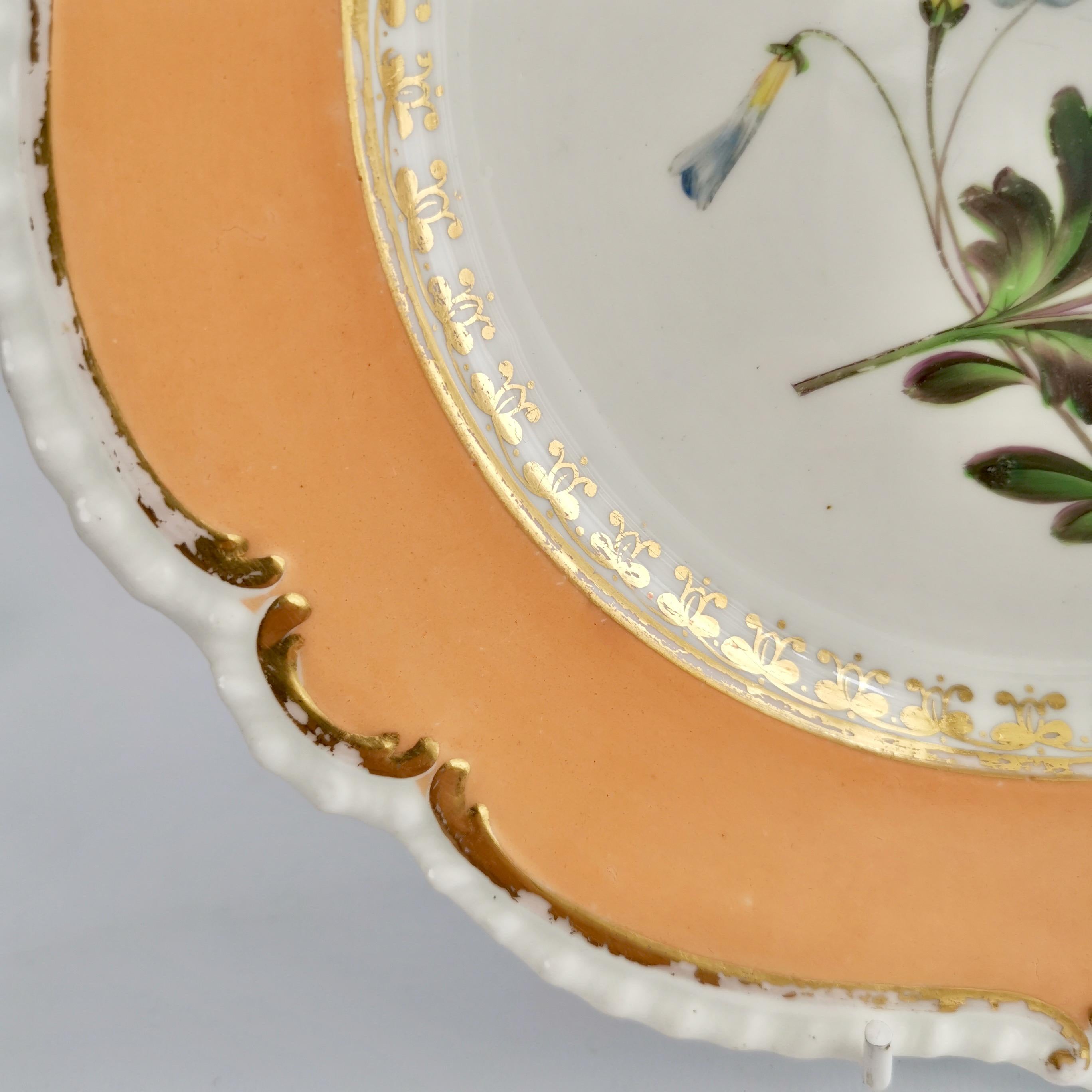 Early 19th Century Porcelain Plate Coalport, Peach with Flowers, Regency 1820-1825