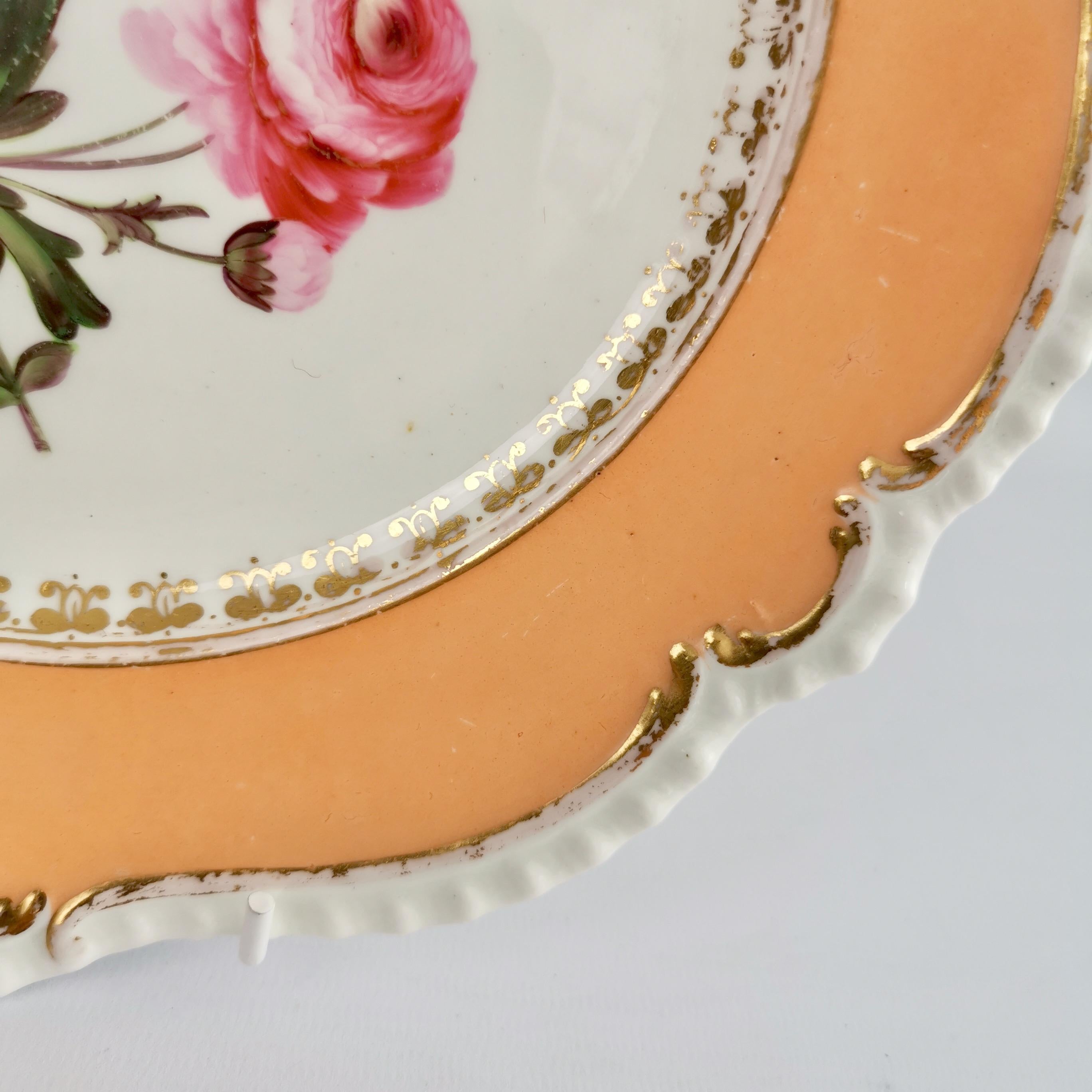 Porcelain Plate Coalport, Peach with Flowers, Regency 1820-1825 3