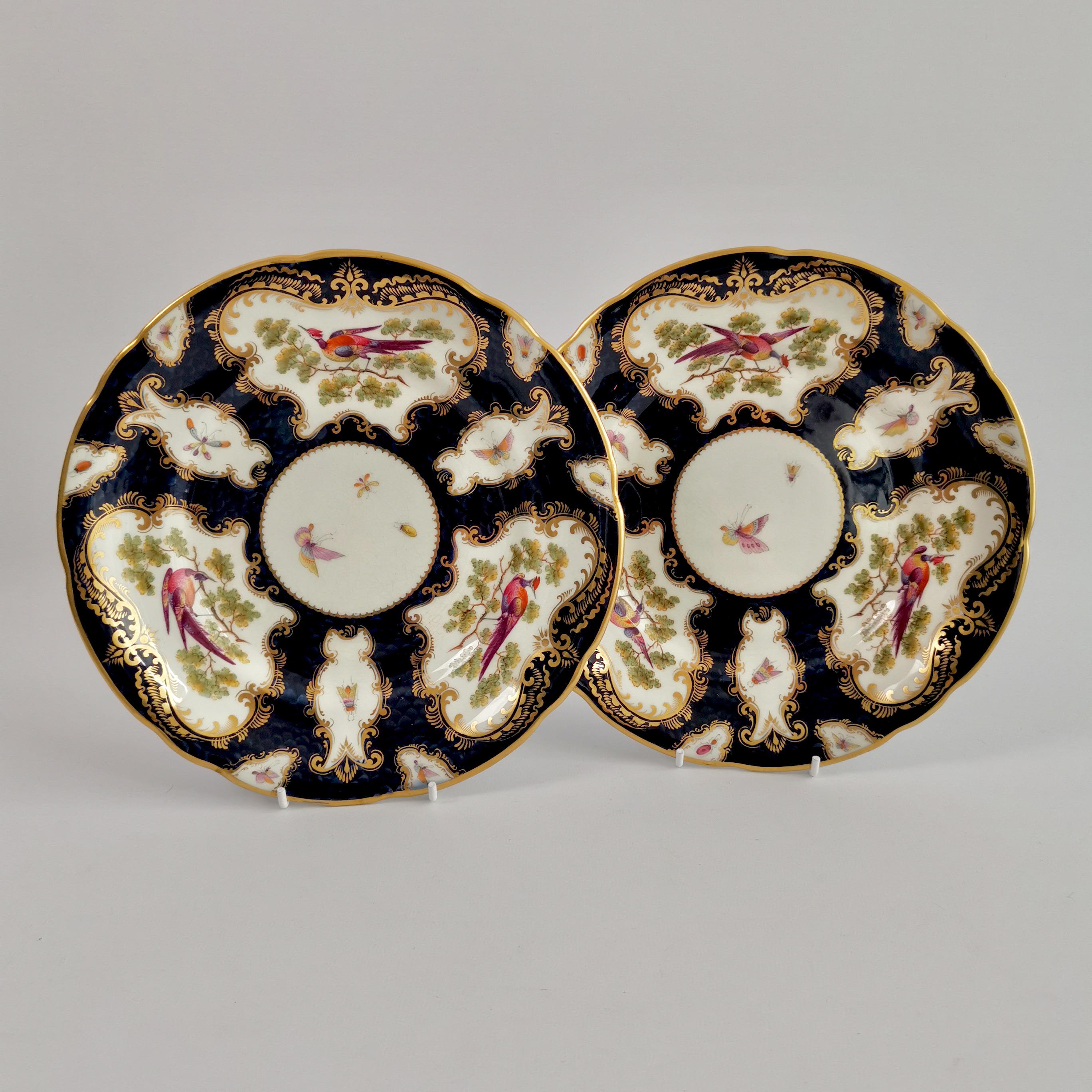 Porcelain Plate Grainger Worcester, Blue, Sèvres Birds and Insects '1' 5