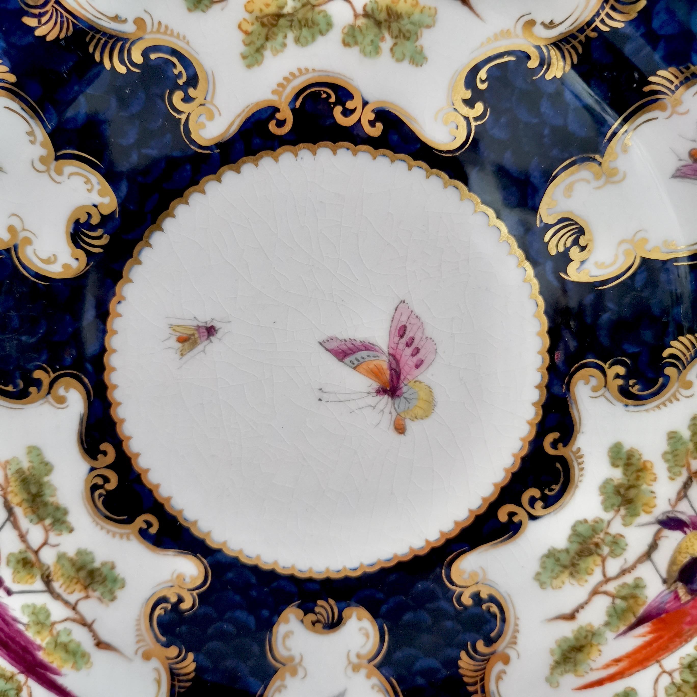 Porcelain Plate Grainger Worcester, Blue, Sèvres Birds and Insects '1' 2