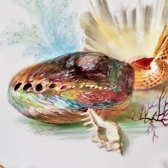 Porcelain Plate, Minton, Sea Shells by W. Mussill, Victorian, 1891