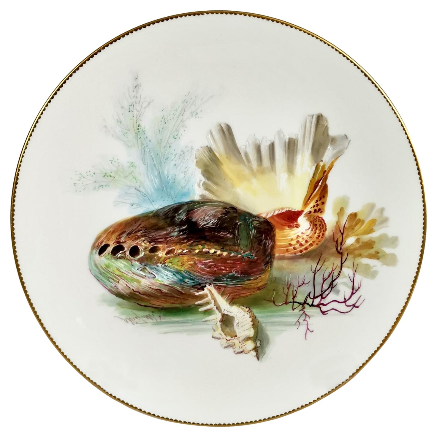 Porcelain Plate, Minton, Sea Shells by W. Mussill, Victorian, 1891