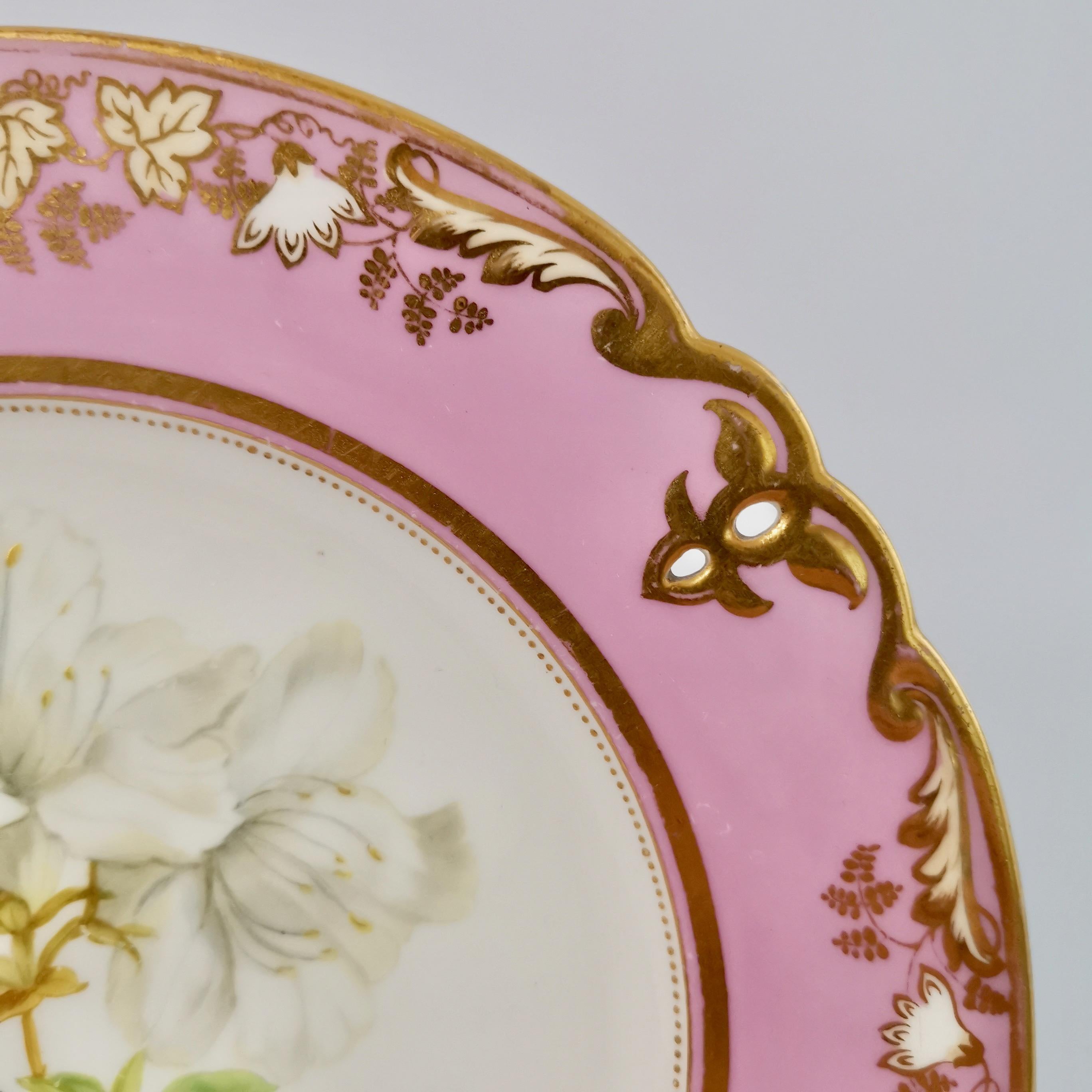 Porcelain Plate, Samuel Alcock, Pink with White Azalea, circa 1852 '2' 4