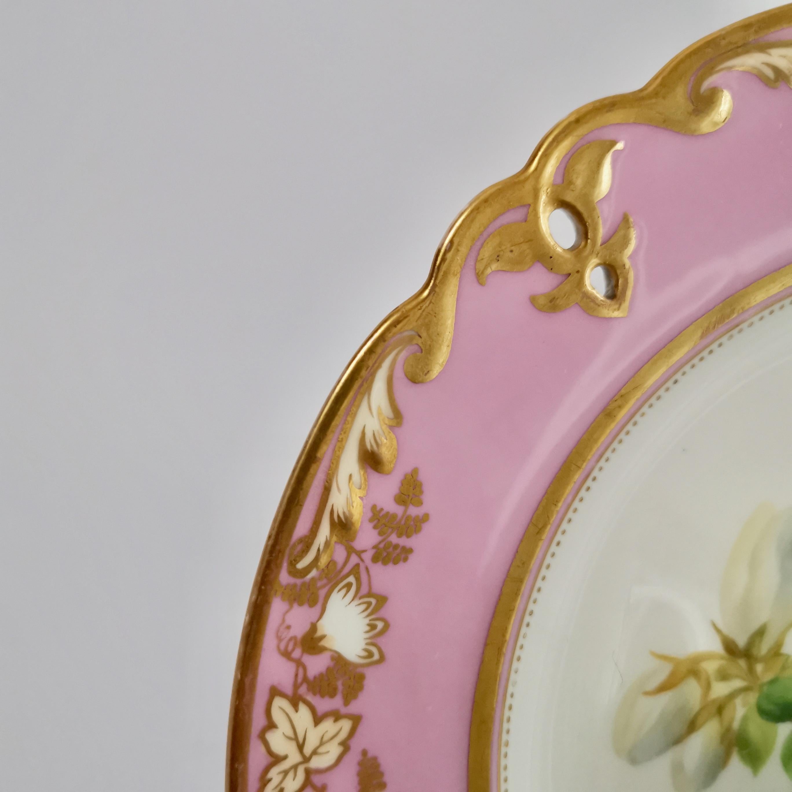 Porcelain Plate, Samuel Alcock, Pink with White Azalea, circa 1852 '2' 6