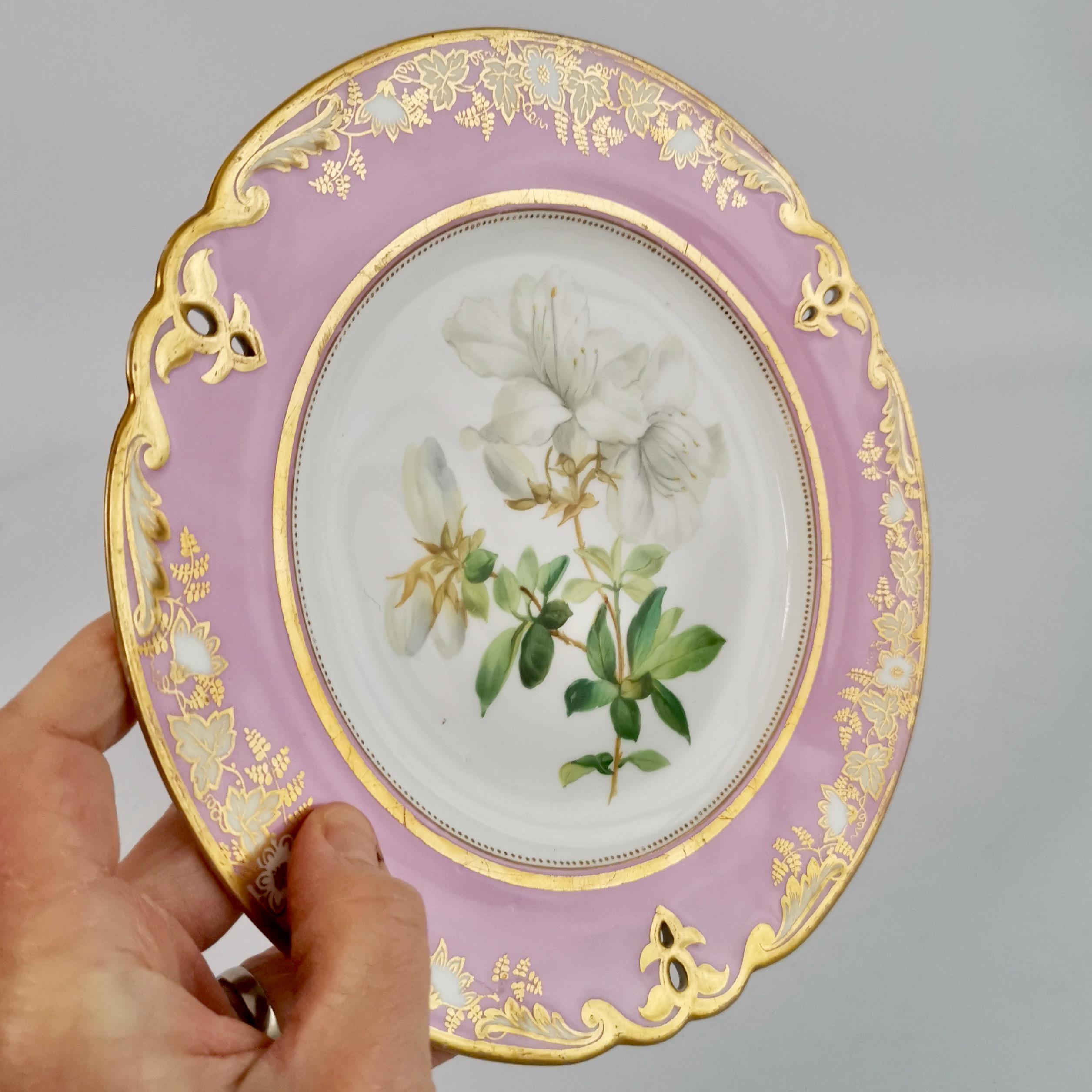Porcelain Plate, Samuel Alcock, Pink with White Azalea, circa 1852 '2' 7