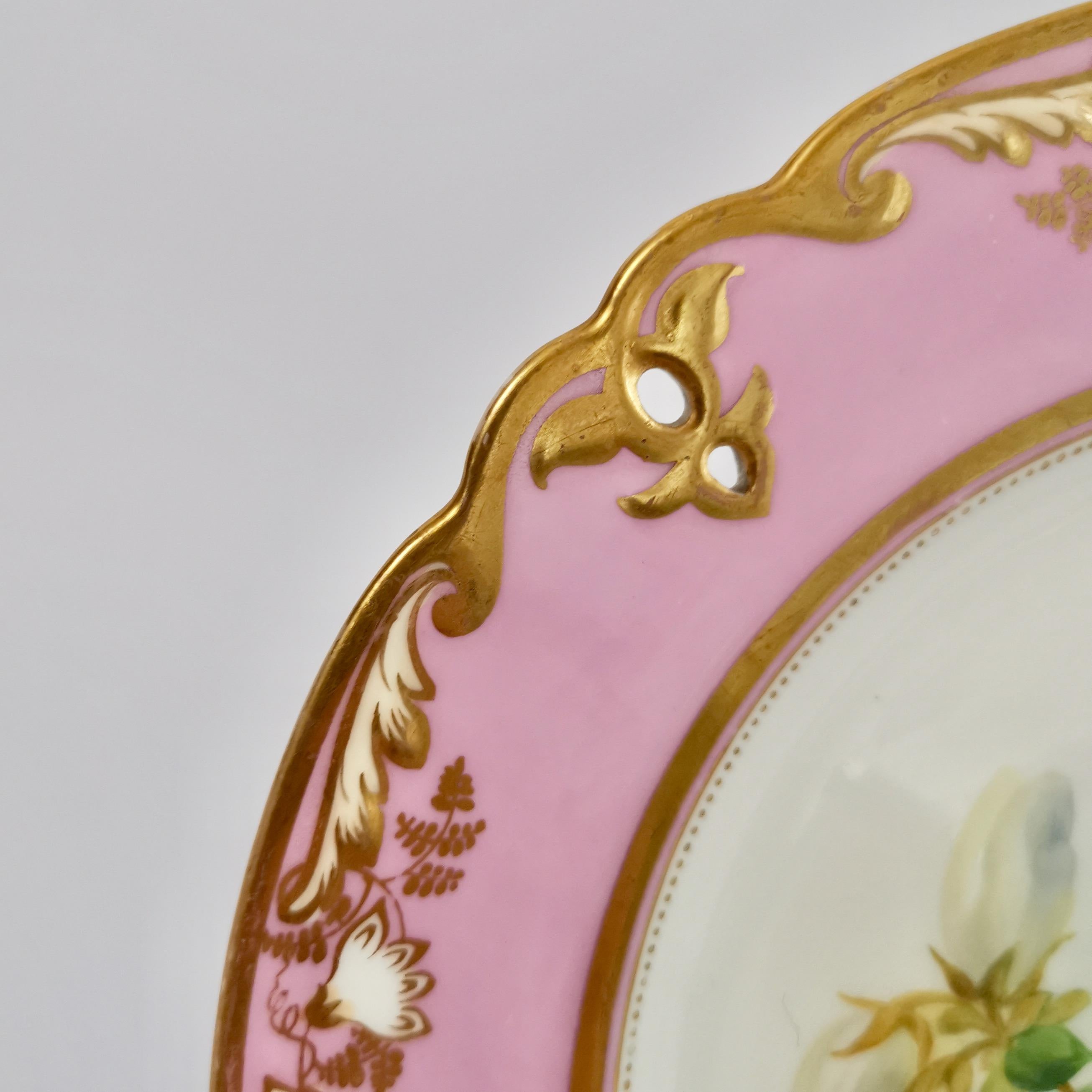 English Porcelain Plate, Samuel Alcock, Pink with White Azalea, circa 1852 '2'