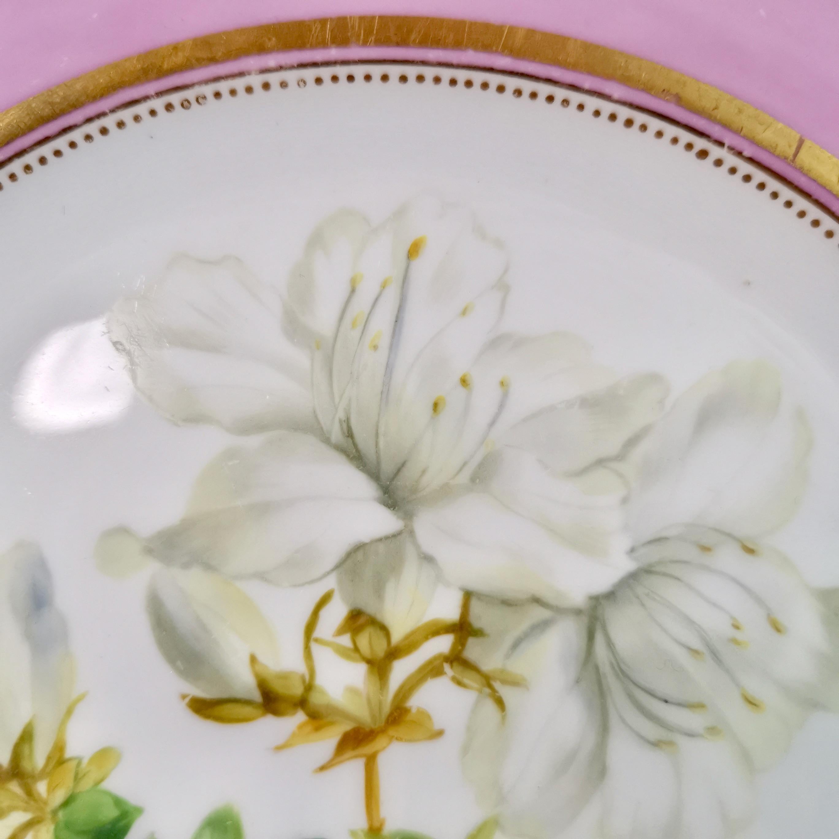 Hand-Painted Porcelain Plate, Samuel Alcock, Pink with White Azalea, circa 1852 '2'