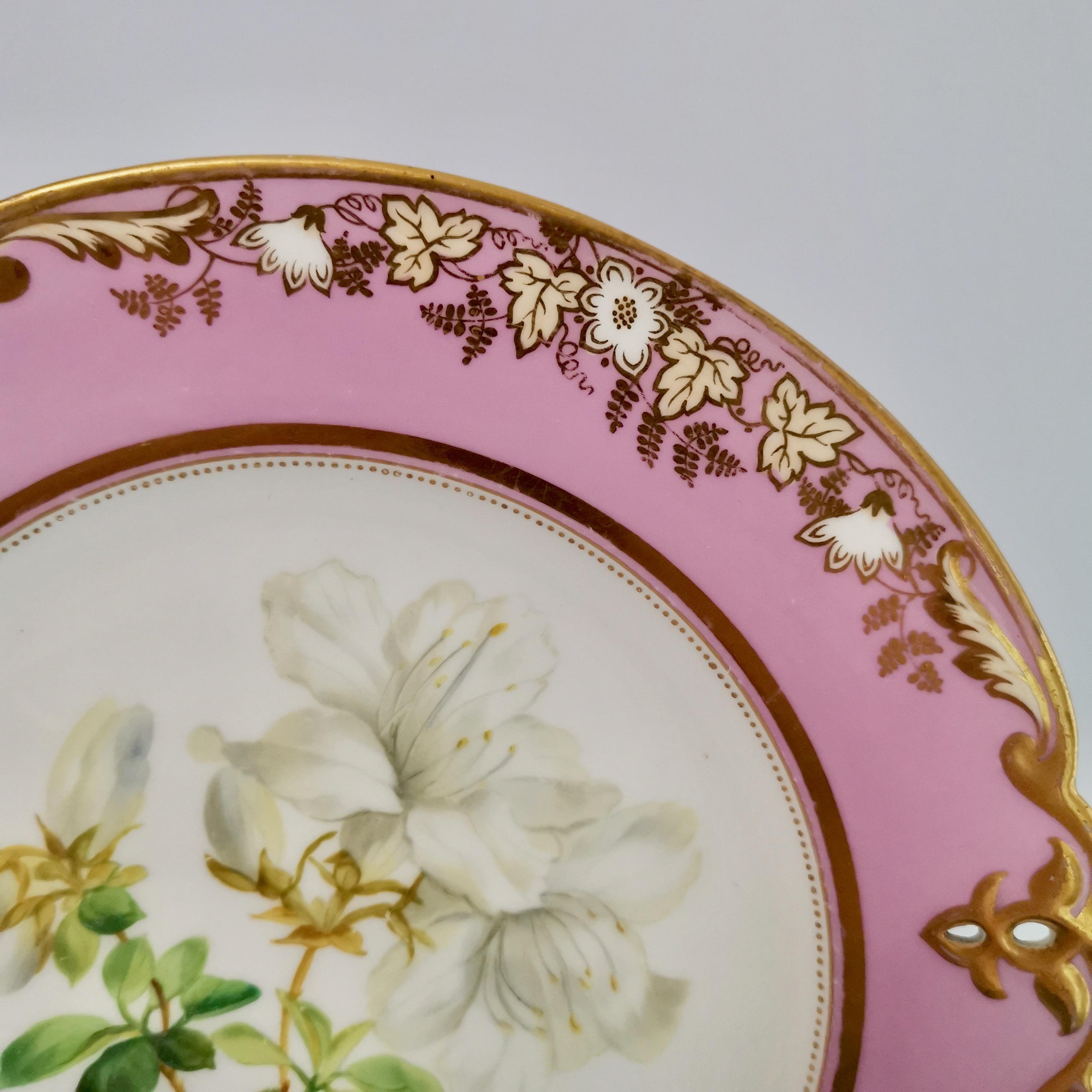 Porcelain Plate, Samuel Alcock, Pink with White Azalea, circa 1852 '2' In Good Condition In London, GB