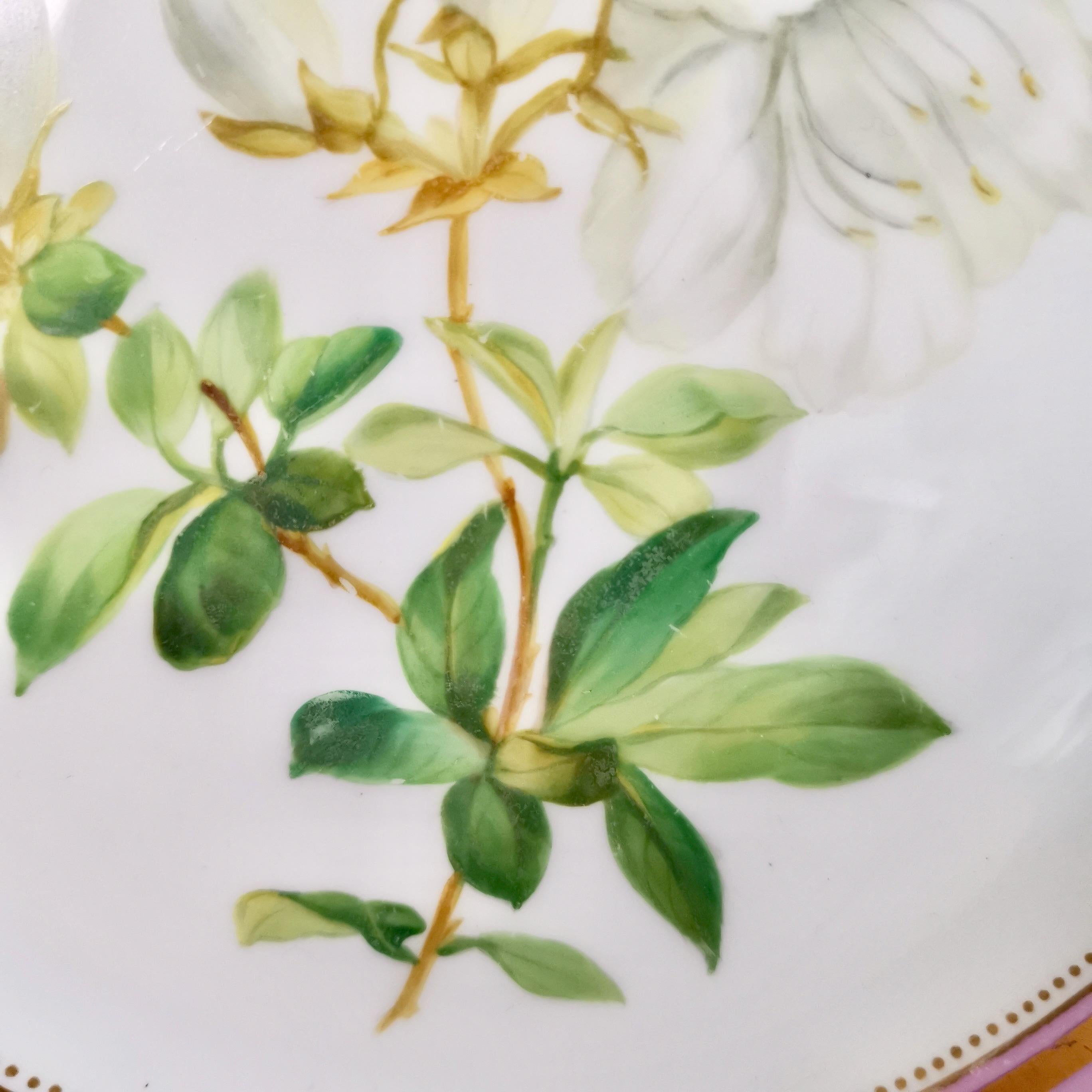 Porcelain Plate, Samuel Alcock, Pink with White Azalea, circa 1852 '2' 1