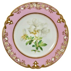 Porcelain Plate, Samuel Alcock, Pink with White Azalea, circa 1852 '2'