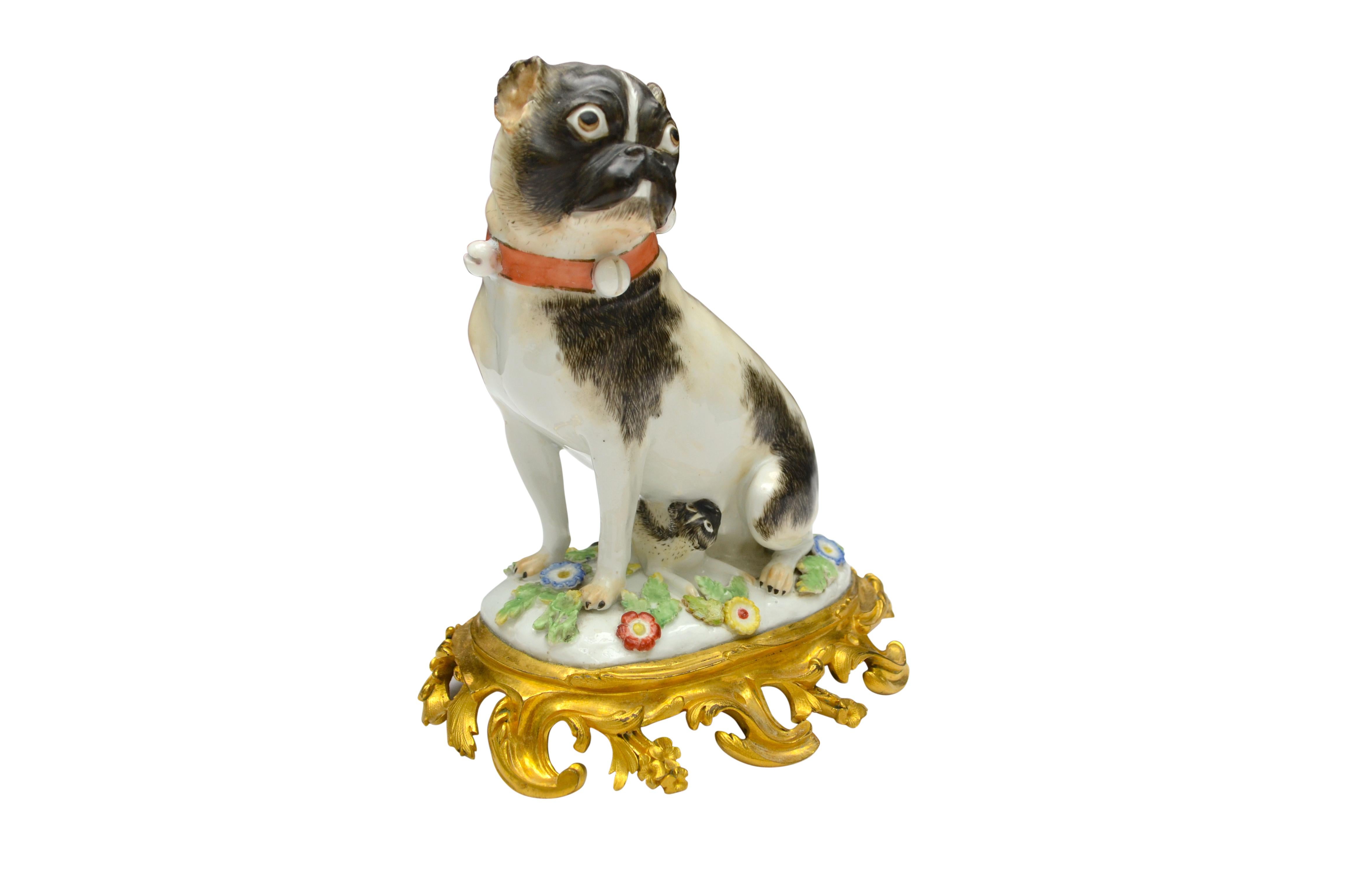 A fine Meissen pug dog after an 18th century model by Kaendler, on a gilt bronze rococo style base. This porcelain is likely one part of a set of two pugs, the female and the male. The porcelain has a blue underglaze Meissen mark on the