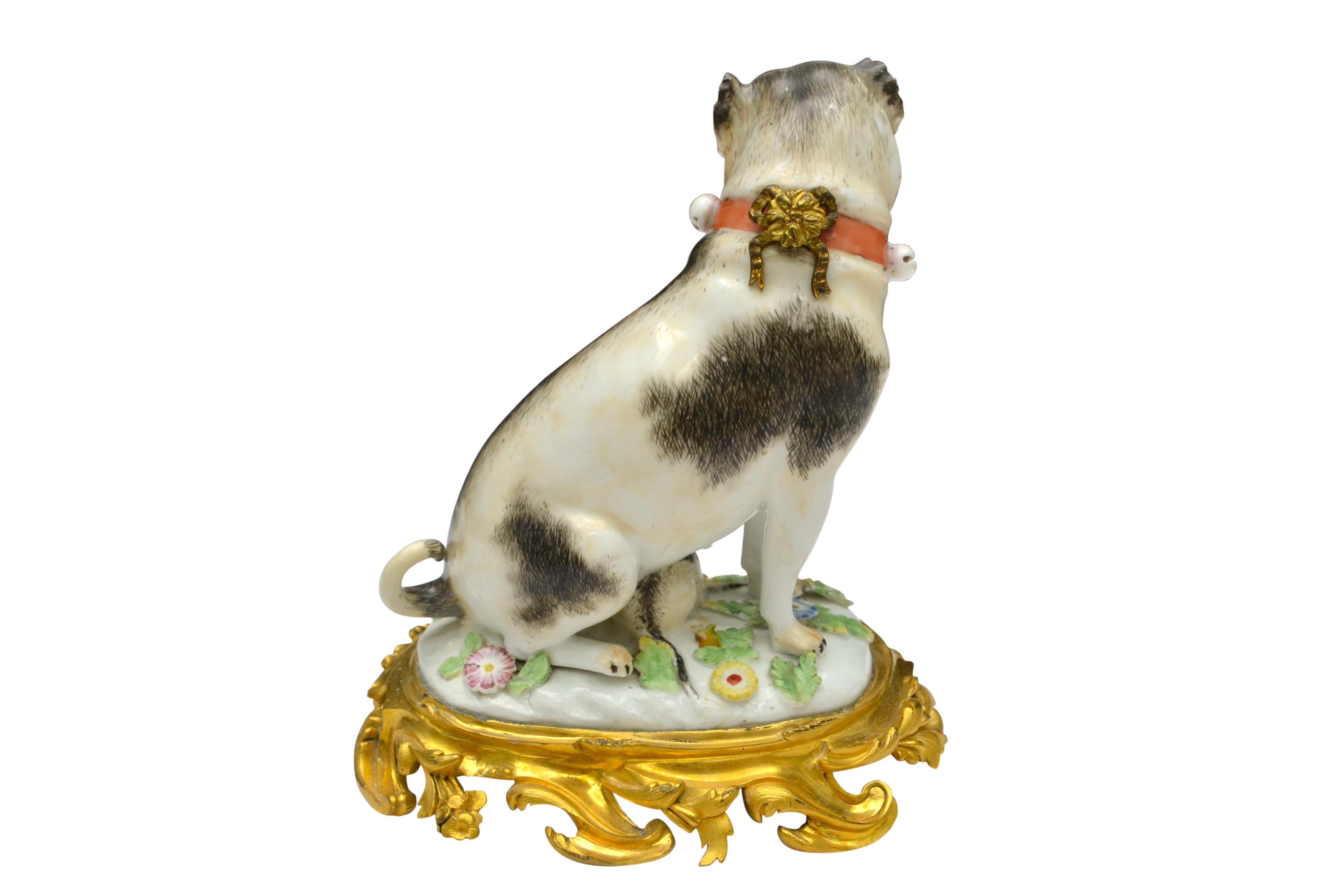 Louis XV Porcelain Pug Dog on a Gilt Bronze Rococo Base after a Model by Johann Kaendler