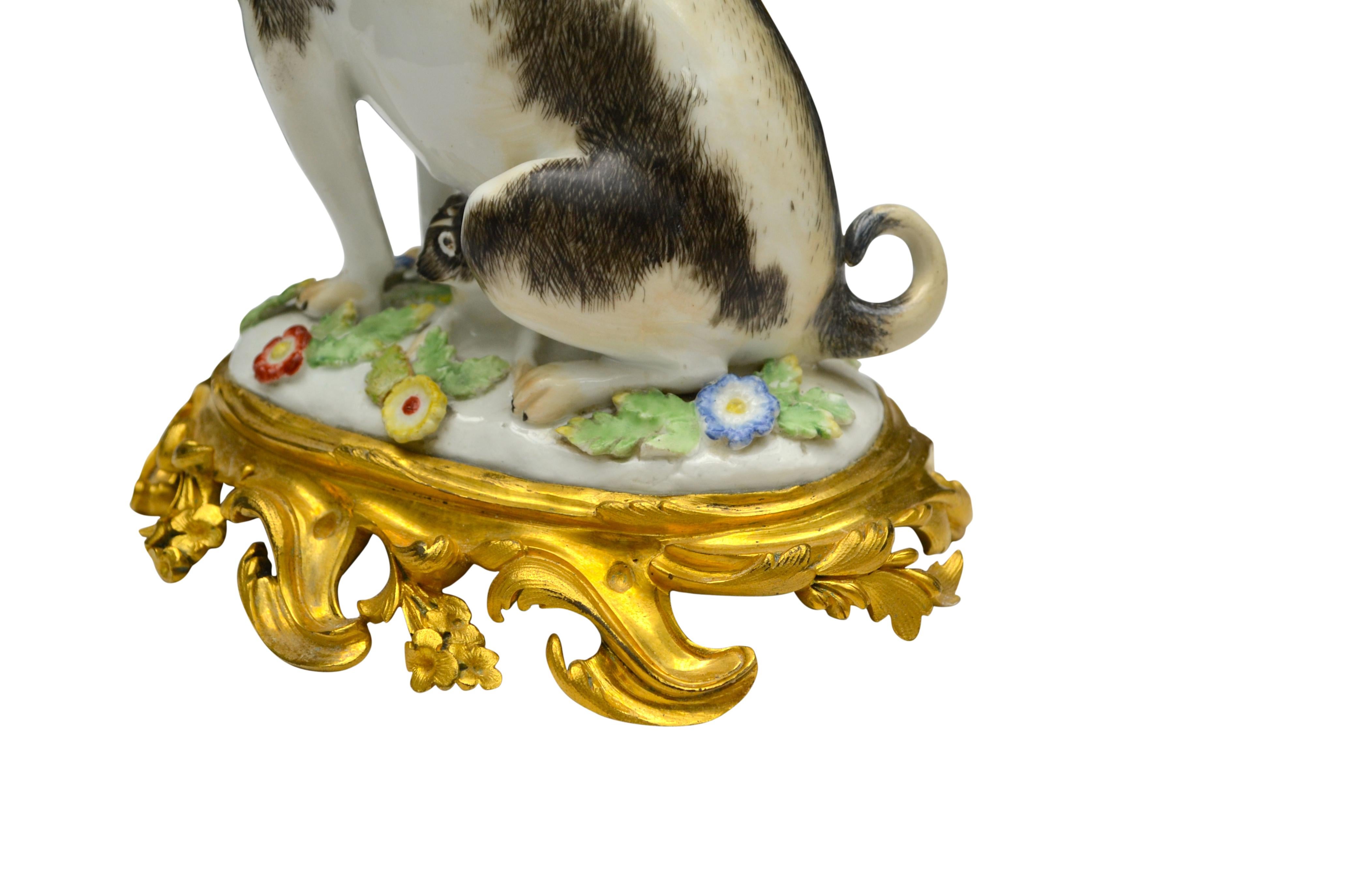 Porcelain Pug Dog on a Gilt Bronze Rococo Base after a Model by Johann Kaendler In Good Condition In Vancouver, British Columbia