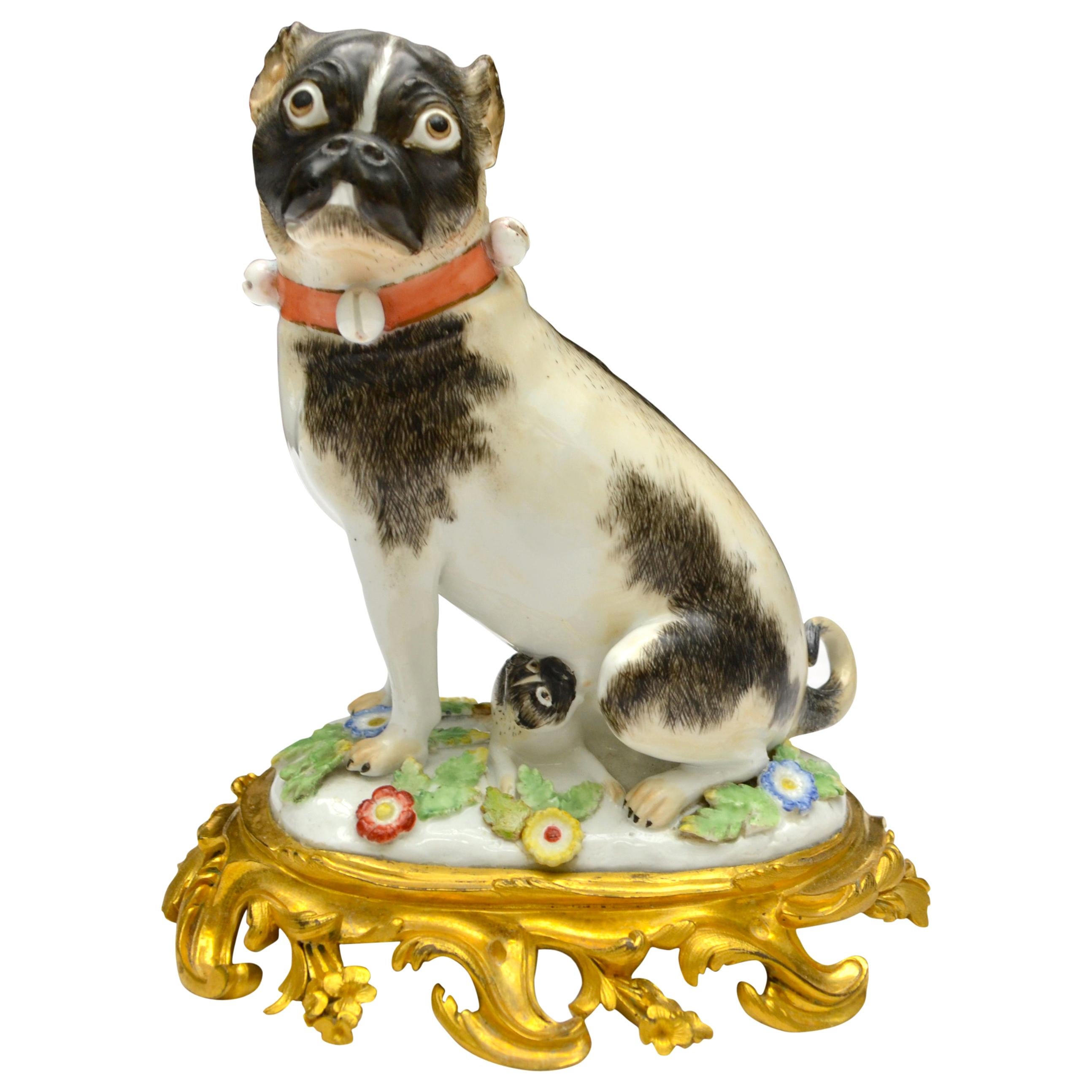 Porcelain Pug Dog on a Gilt Bronze Rococo Base after a Model by Johann Kaendler