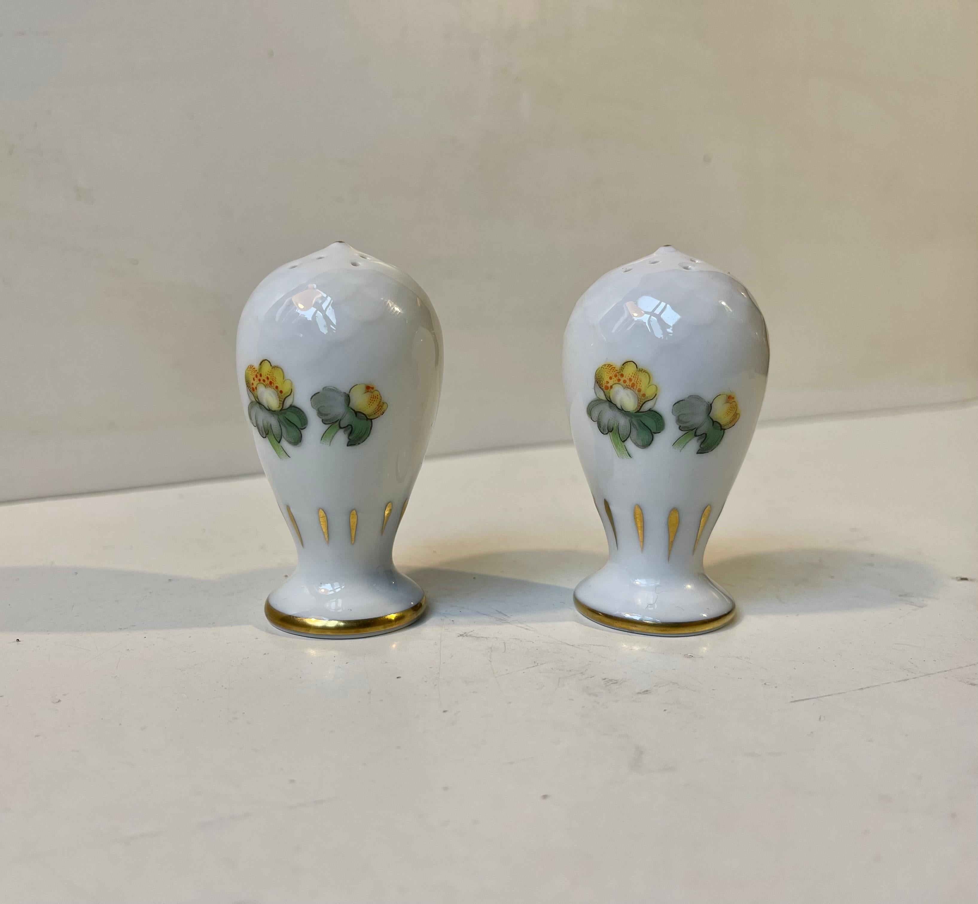 Danish Porcelain Salt and Pepper shakers with Hand-Painted Errants by Bing & Grondahl  For Sale