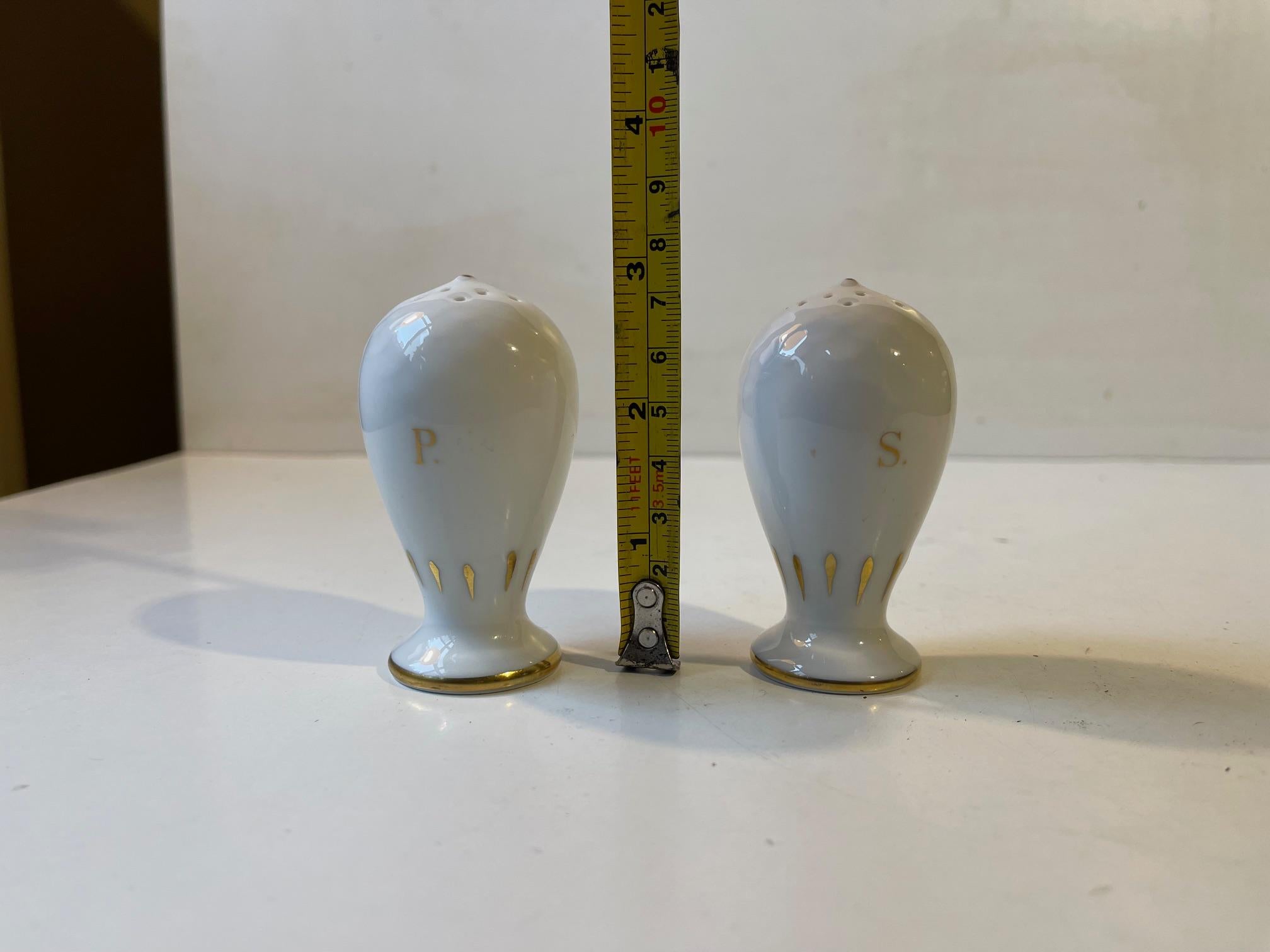 Milieu du XXe siècle Salière et poivrière en porcelaine avec Errants peints à la main par Bing & Grondahl en vente