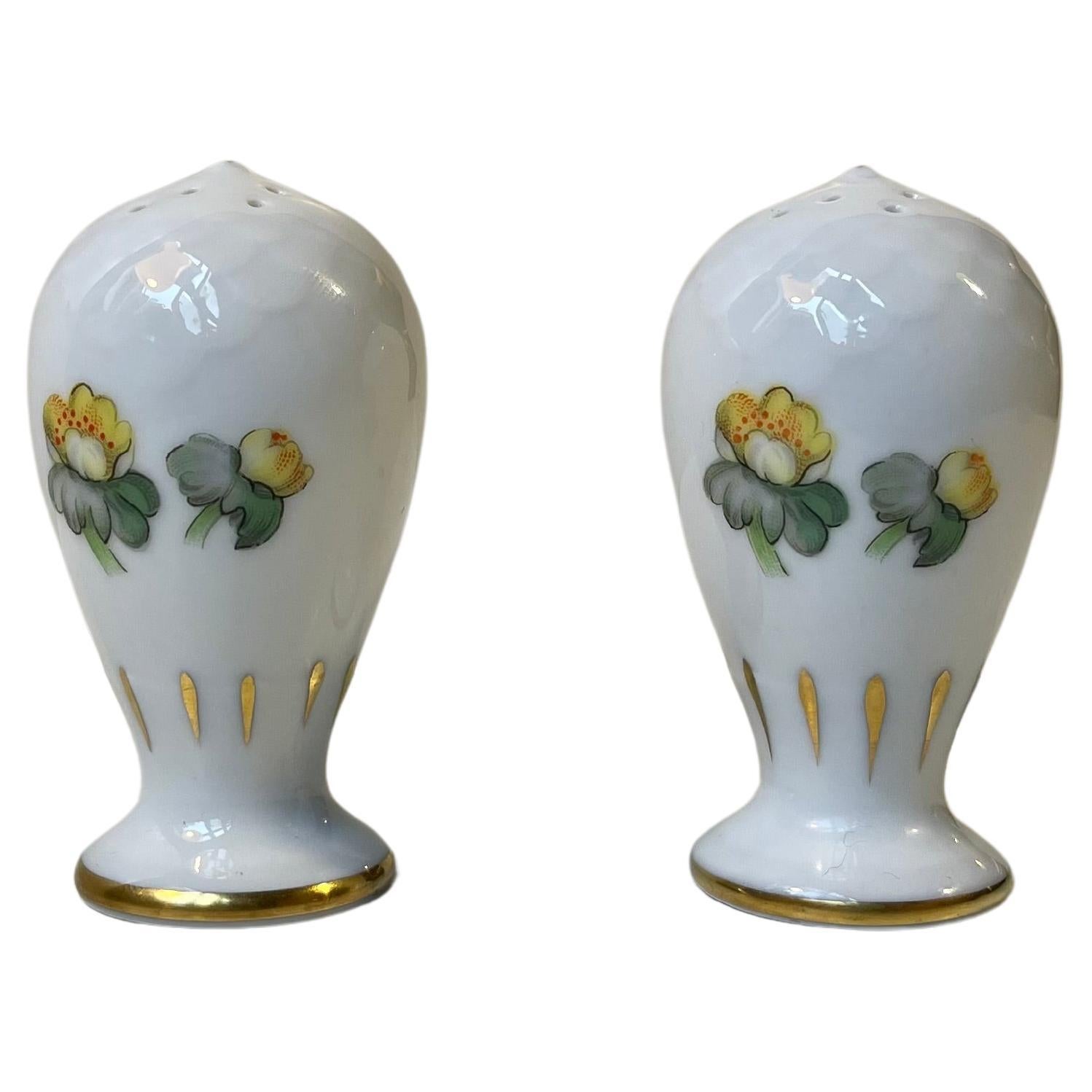 Salière et poivrière en porcelaine avec Errants peints à la main par Bing & Grondahl 