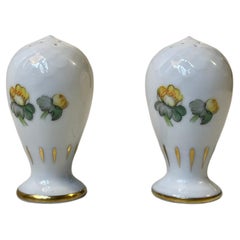 Vintage Porcelain Salt and Pepper shakers with Hand-Painted Errants by Bing & Grondahl 