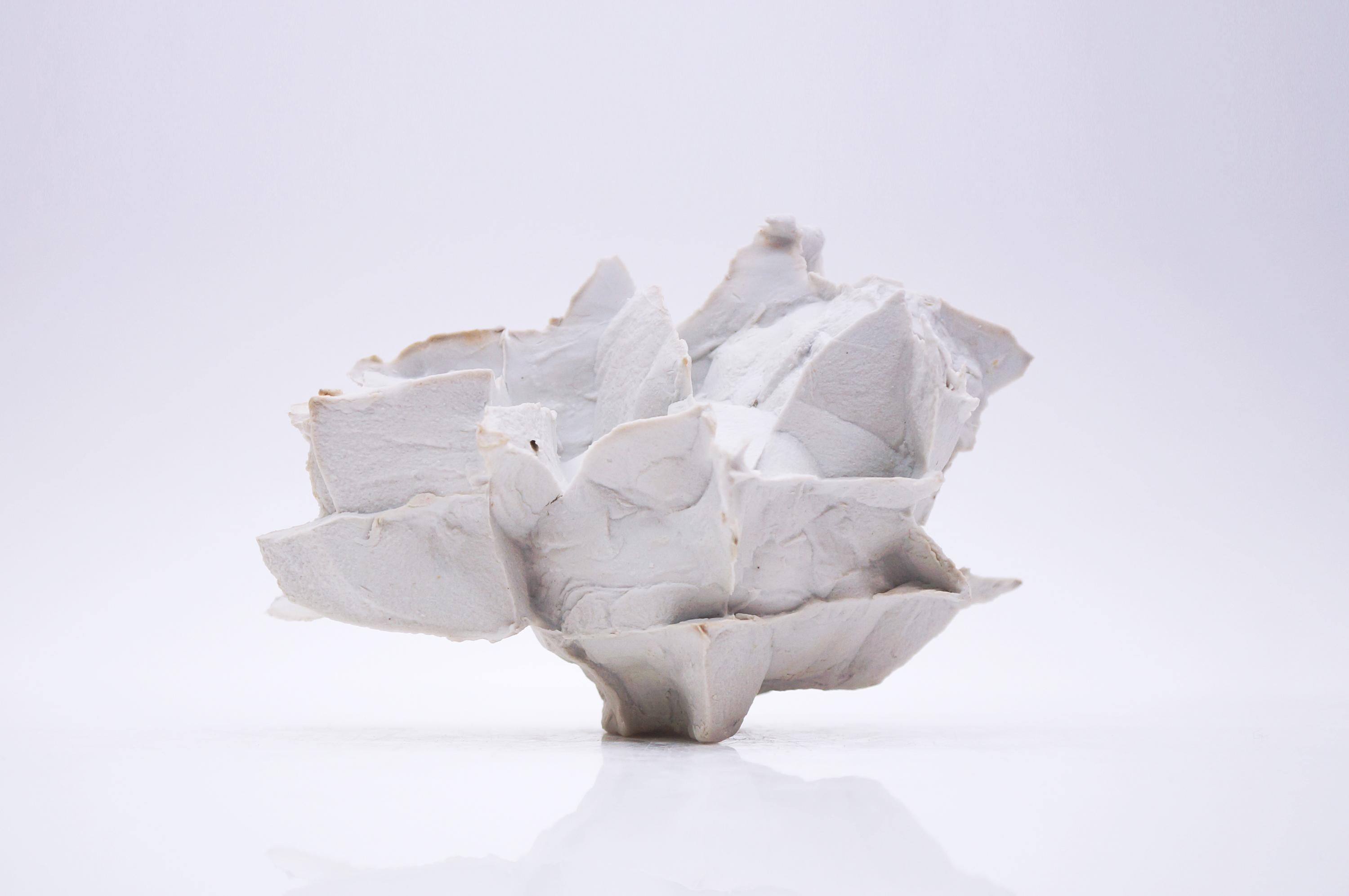 Contemporary Porcelain Sculpture by Monika Patuszyńska For Sale