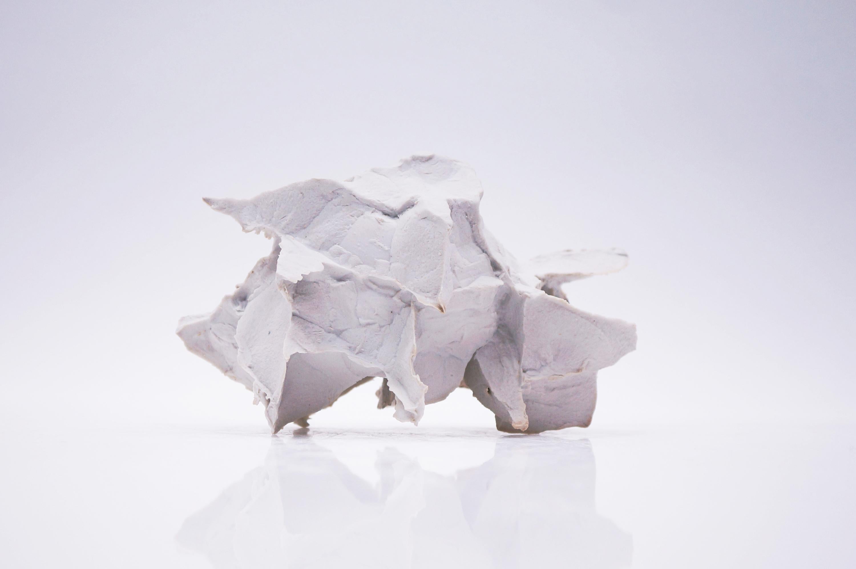 Porcelain Sculpture by Monika Patuszyńska 2