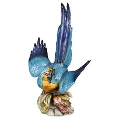 Porcelain Sculpture of a Parrot, Work of the XXth Century.