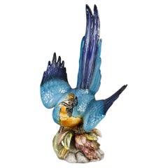 Scultura in porcellana di un pappagallo, opera del XX secolo.