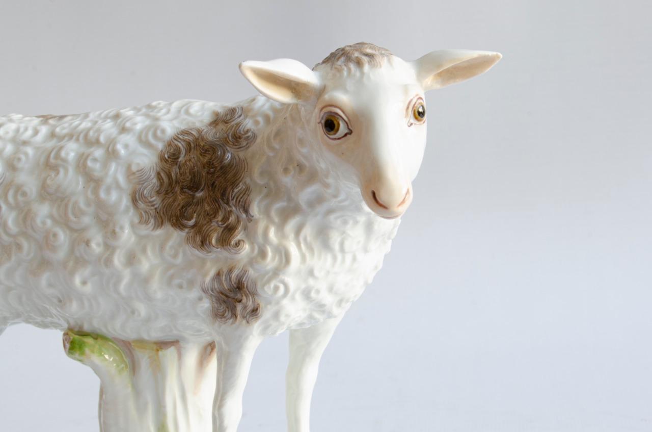 Porcelain sheep (Meissen)
Origin Germany
perfect condition
19th century 1870.