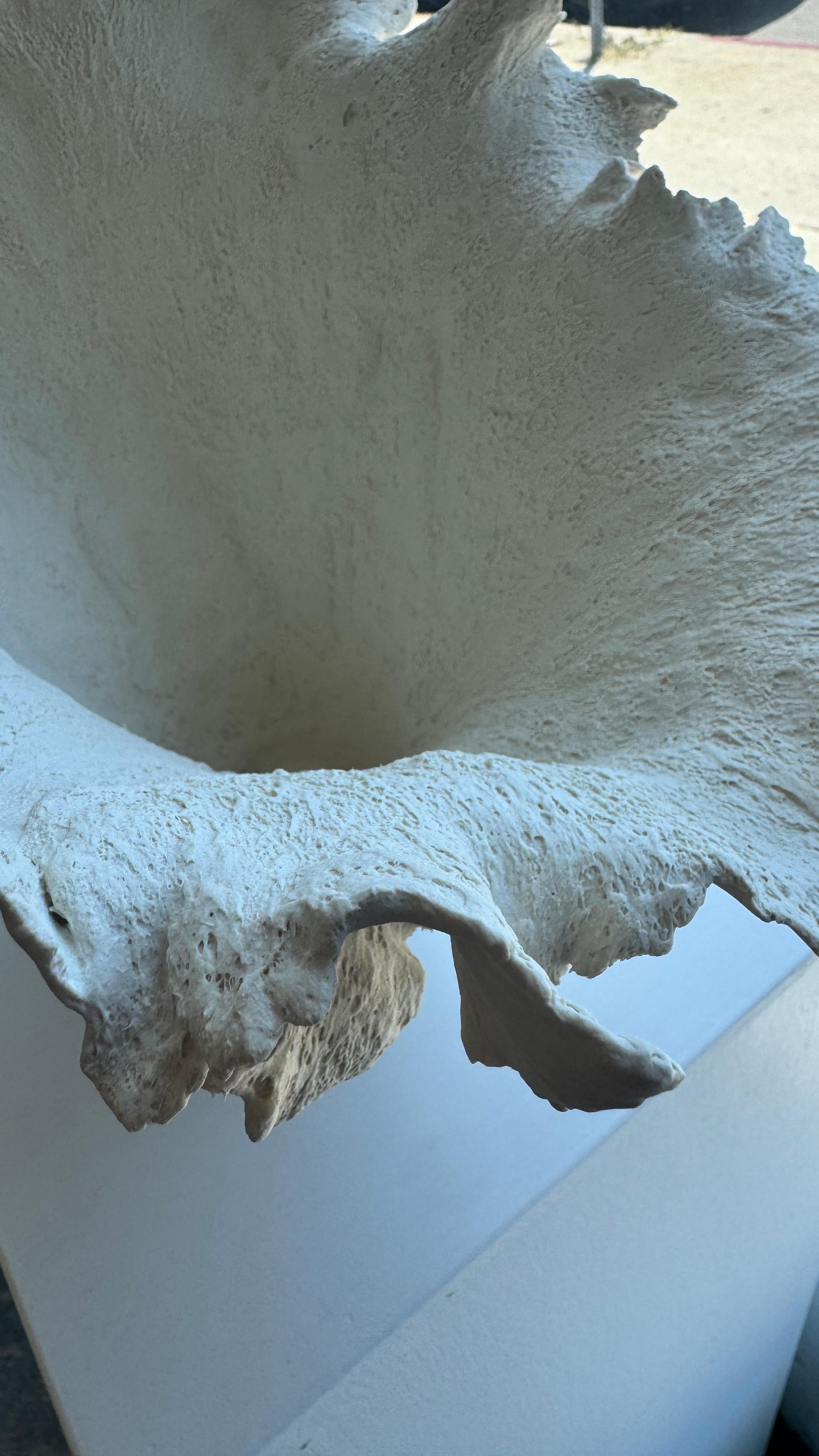 Weißes Porzellan-Skulptur-Gefäß. Violett im Angebot 5