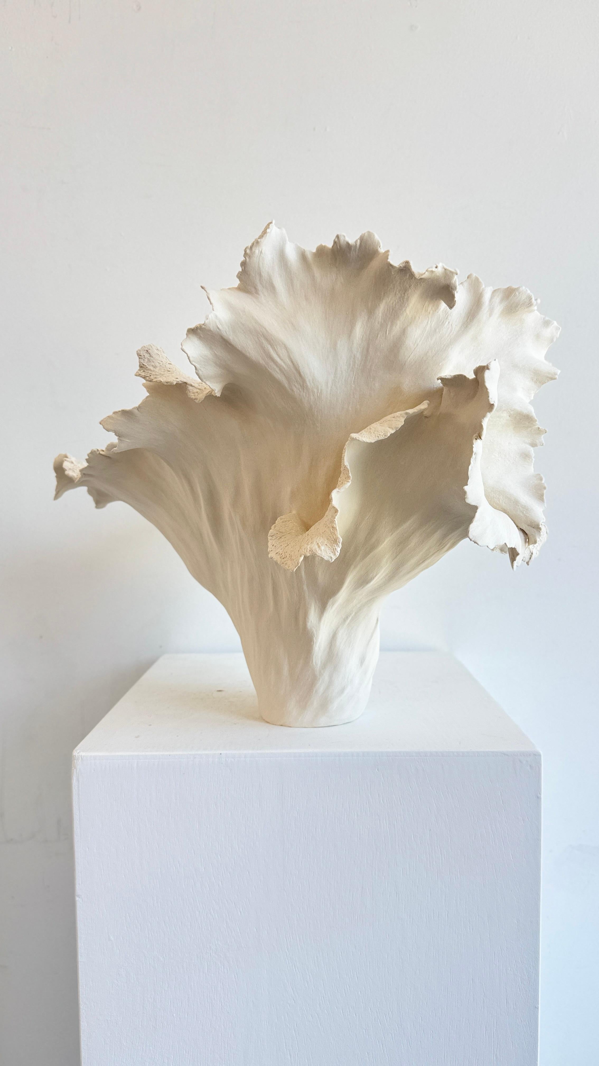 Violet is a stunning nature inspired porcelain sculpture. Her insides are textured while her outside holds the remnants of the artists handprints as she sculpted. This is a very special one of a kind vessel.

*Porcelain
*Handbuilt, 
*Handwash,